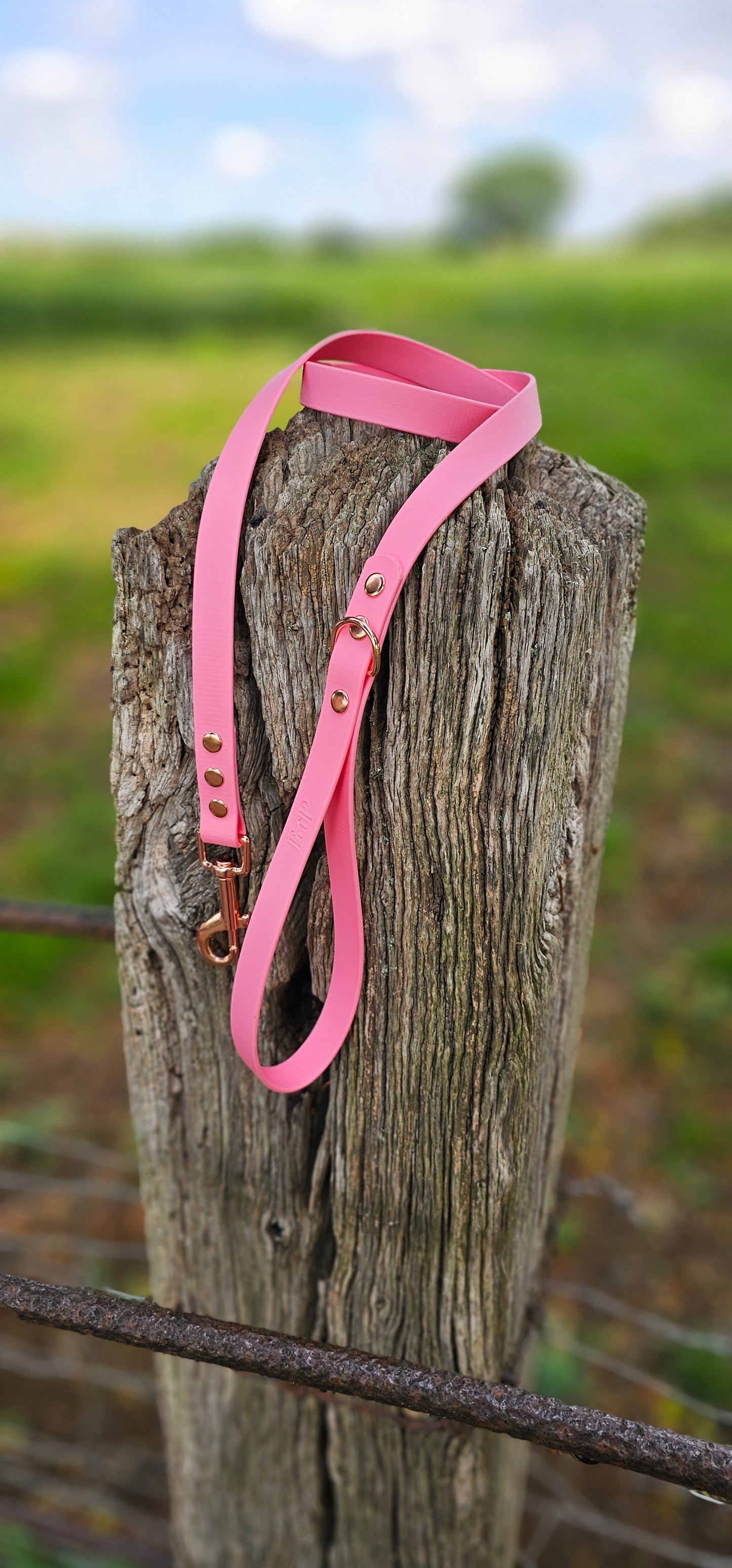 Baby Pink - Waterproof BioThane© Dog Lead