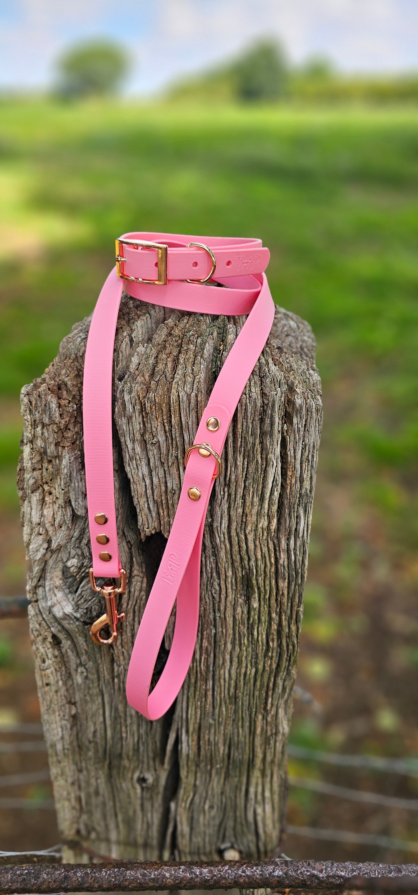 Baby Pink - Waterproof BioThane© Dog Collar