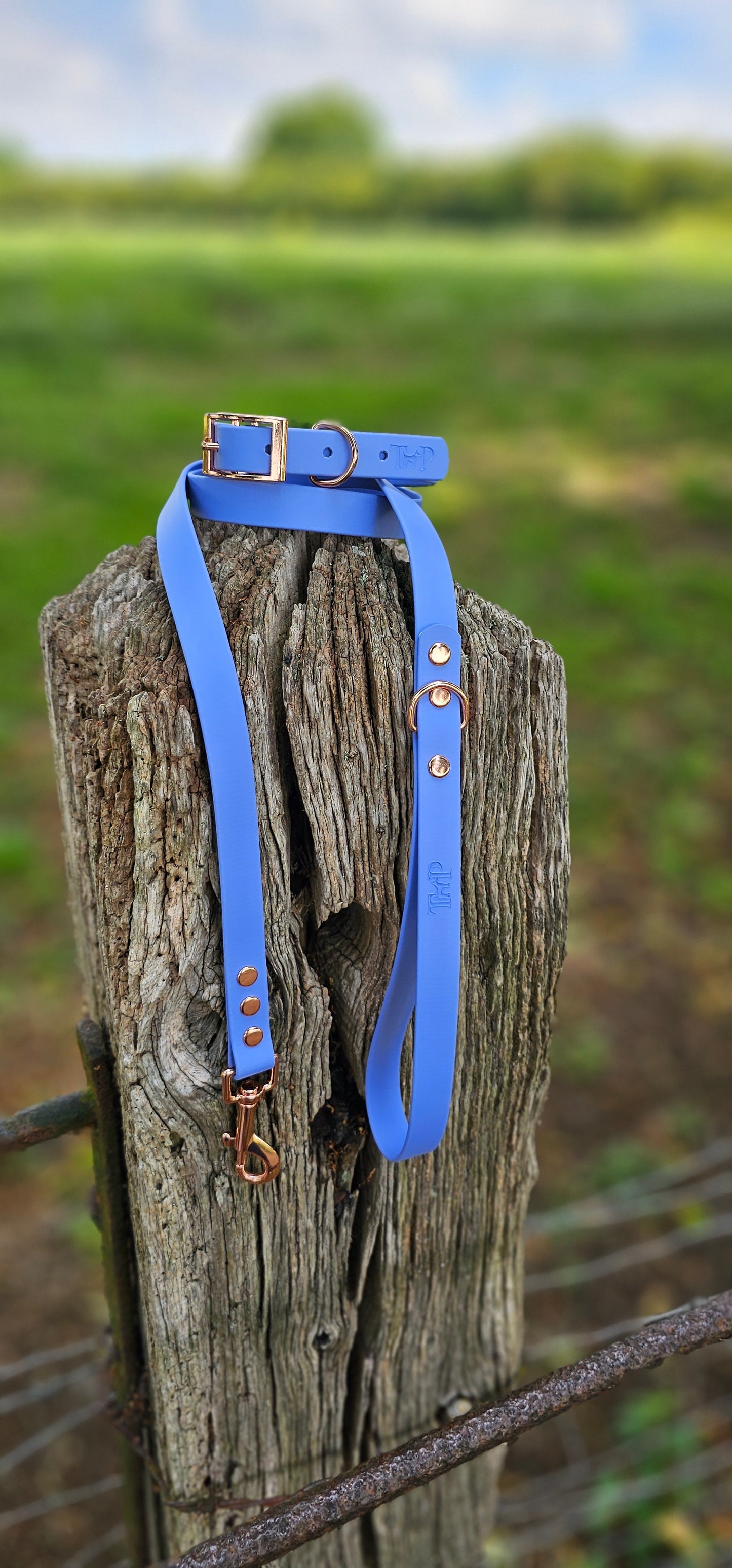 Periwinkle - Waterproof BioThane© Dog Collar