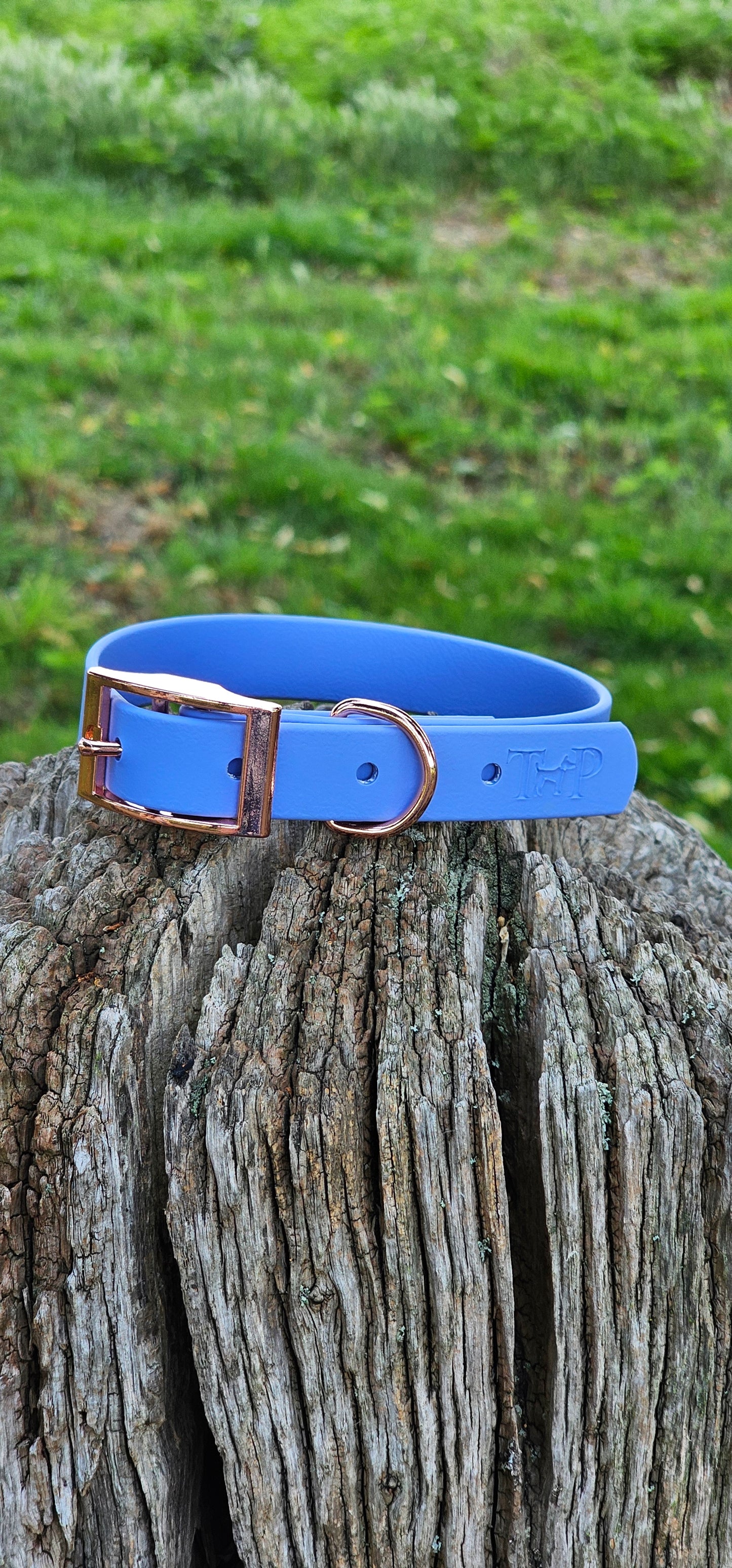 Periwinkle - Waterproof BioThane© Dog Collar