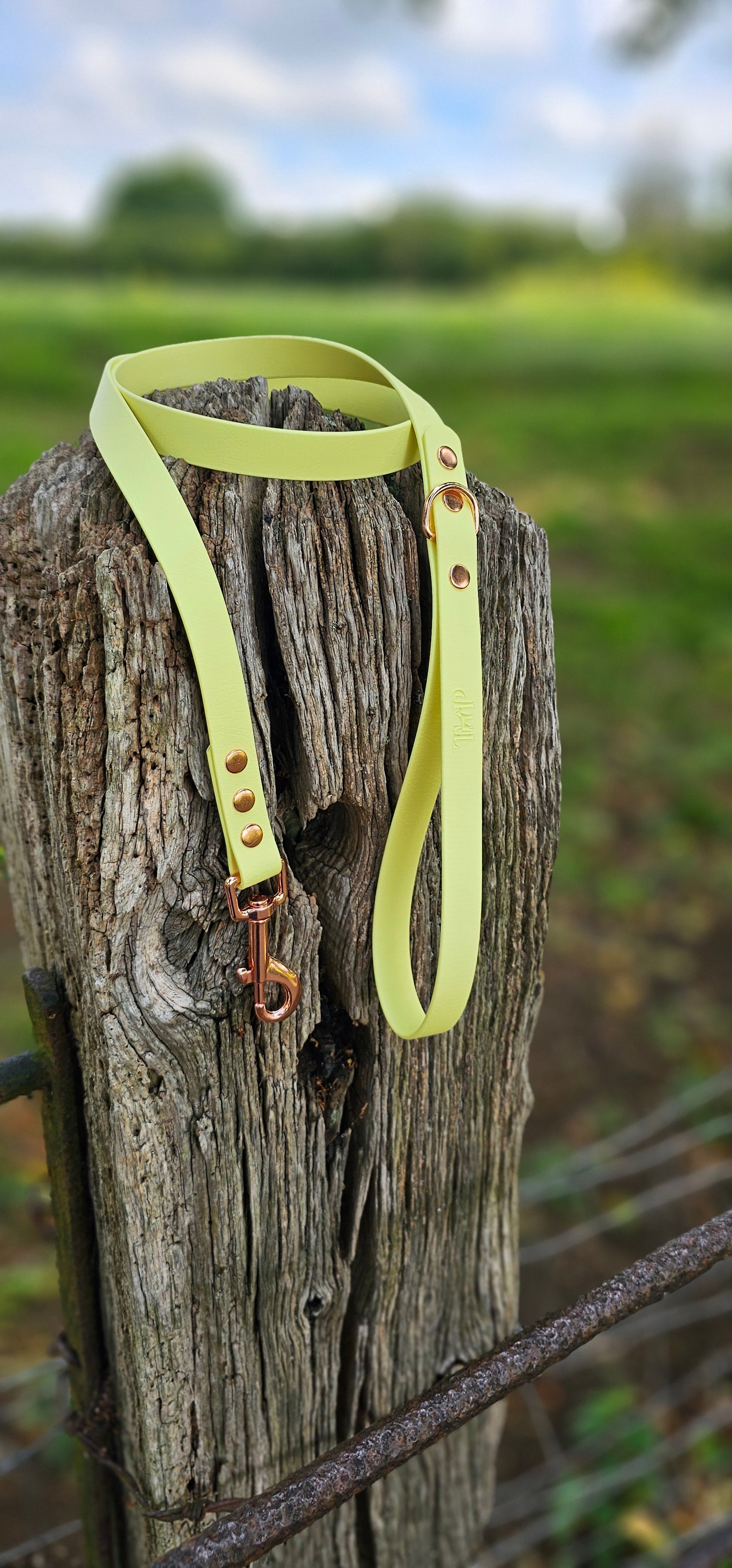 Lemon - Waterproof BioThane© Dog Lead