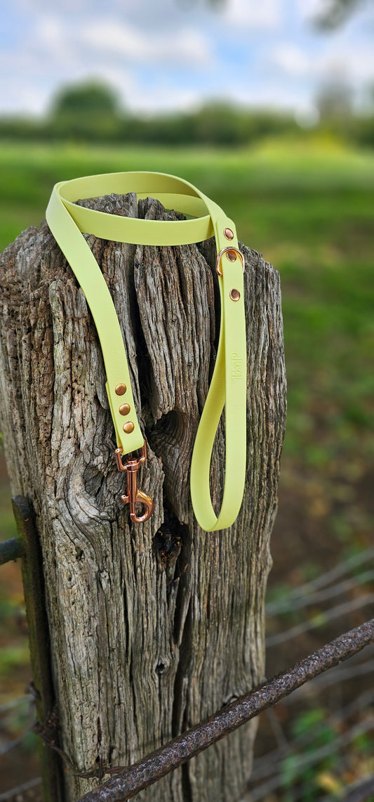 Lemon - Waterproof BioThane© Dog Lead