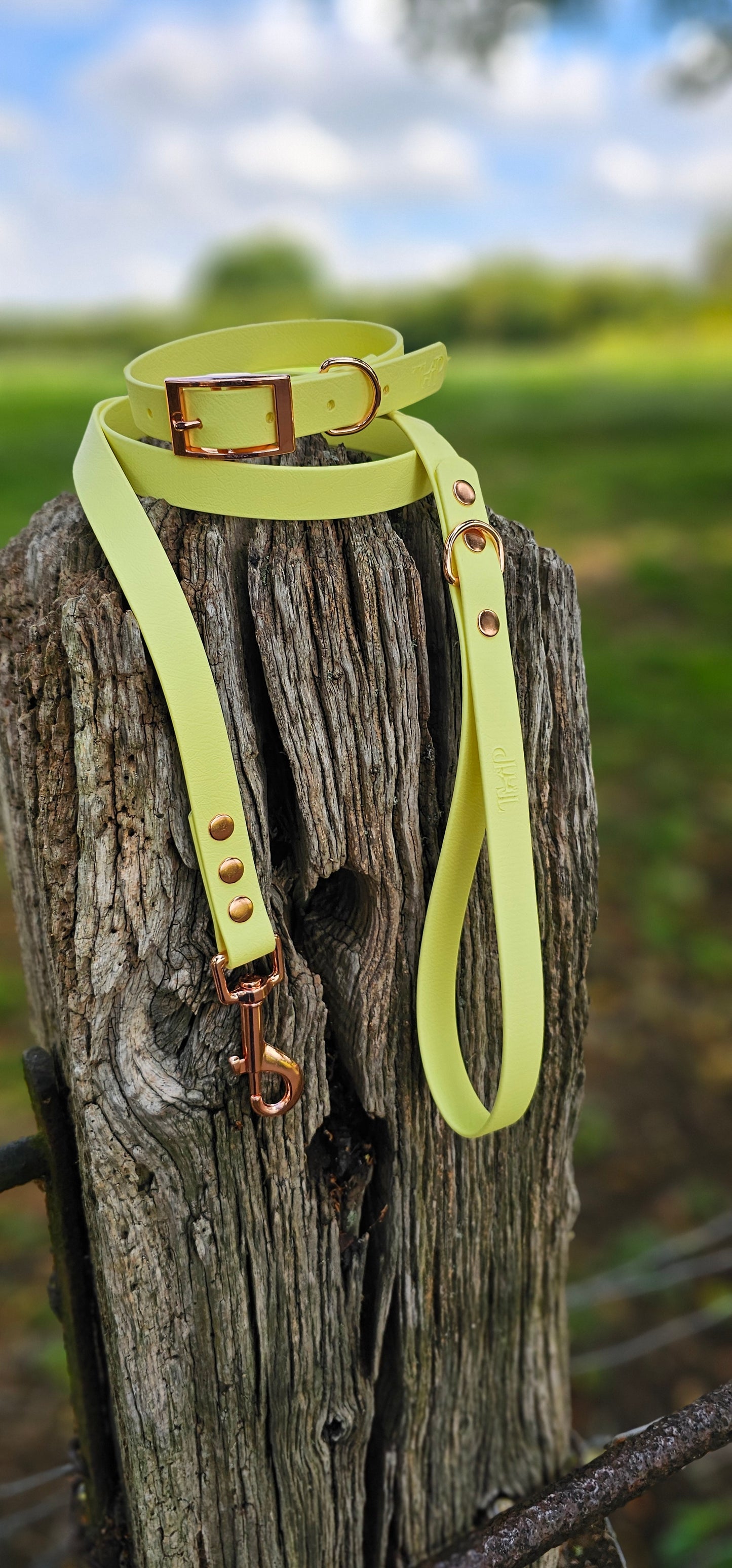 Lemon - Waterproof BioThane© Dog Lead