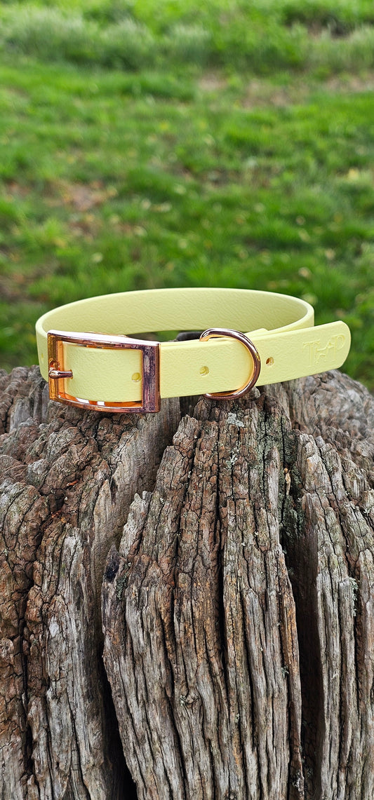 Lemon - Waterproof BioThane© Dog Collar