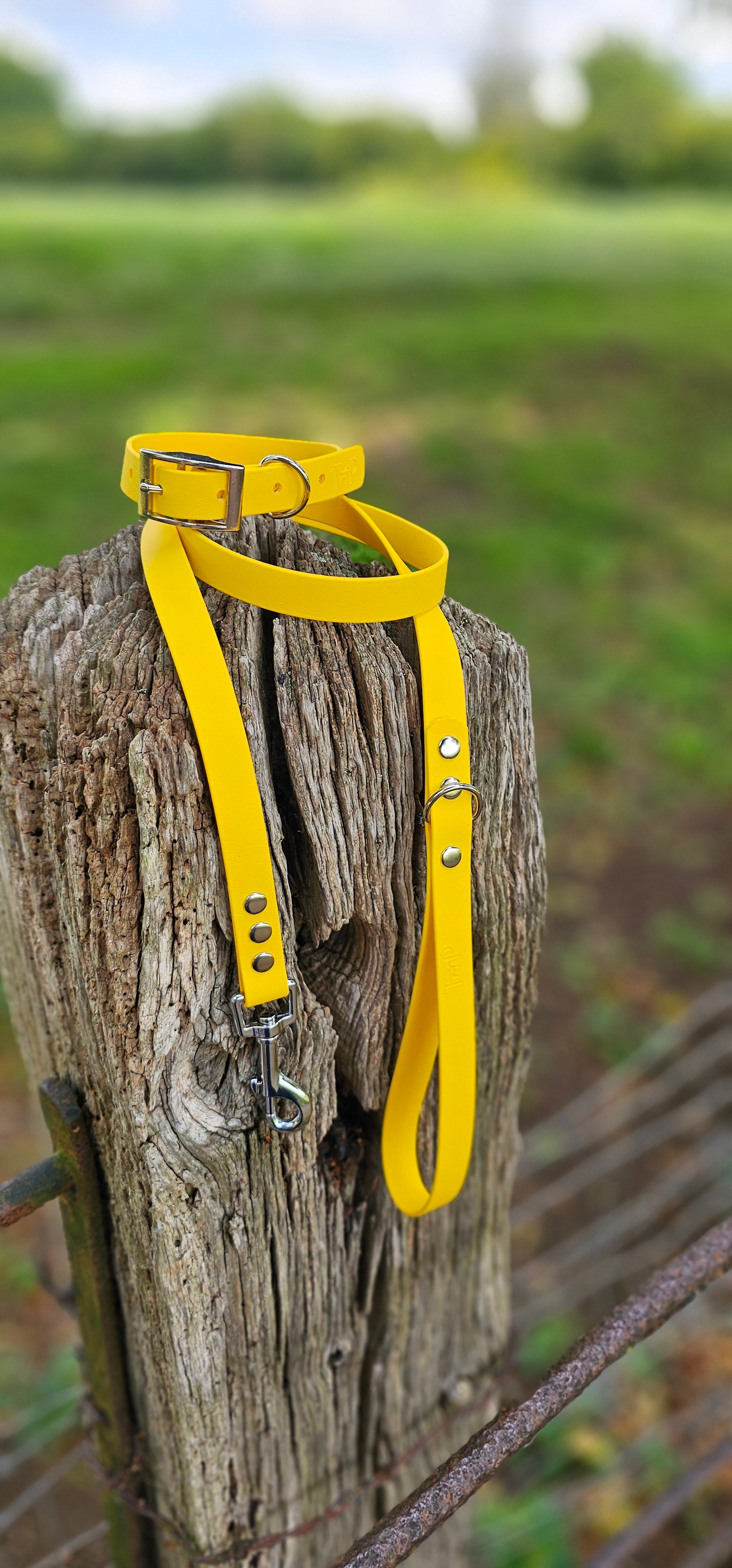 Yellow - Waterproof BioThane© Dog Collar