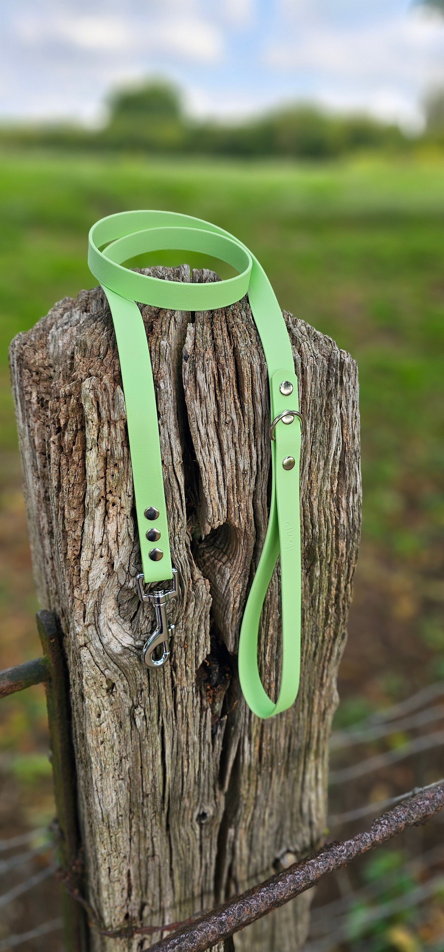 Pistachio - Waterproof BioThane© Dog Lead