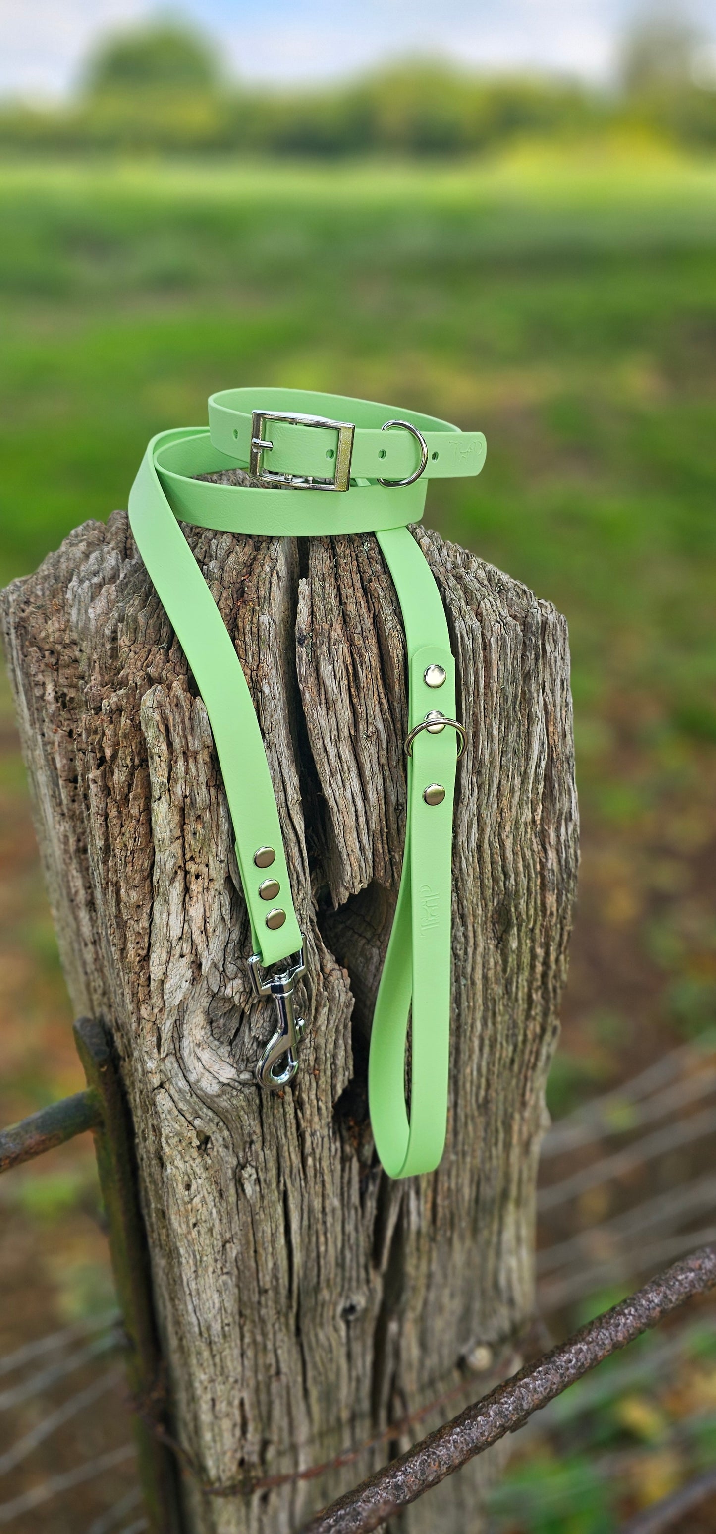 Pistachio - Waterproof BioThane© Dog Collar
