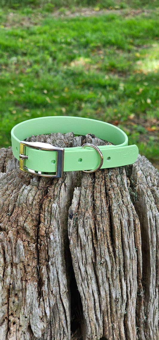 Pistachio - Waterproof BioThane© Dog Collar