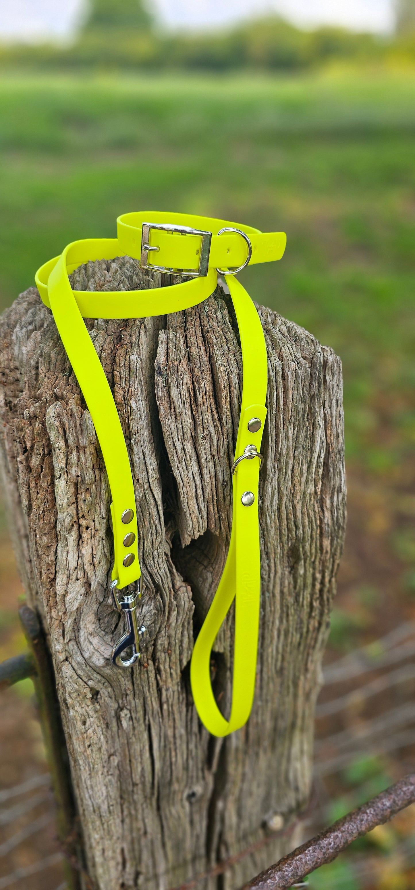 Neon Yellow - Waterproof BioThane© Dog Collar