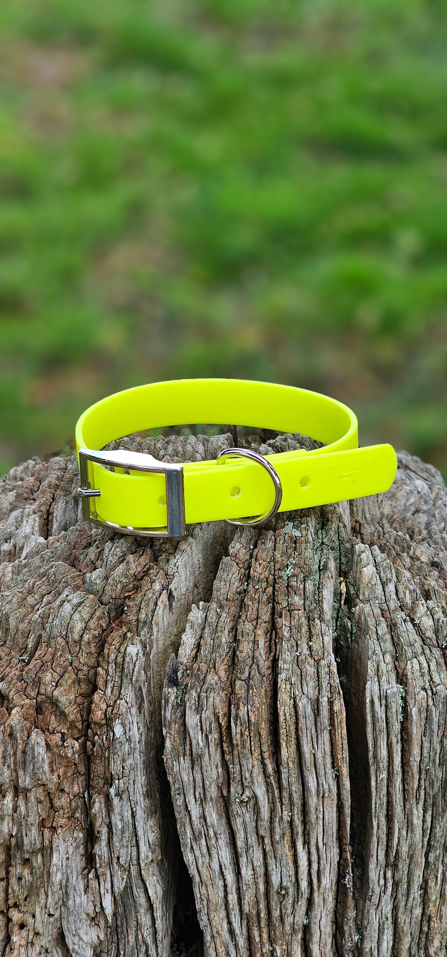 Neon Yellow - Waterproof BioThane© Dog Collar