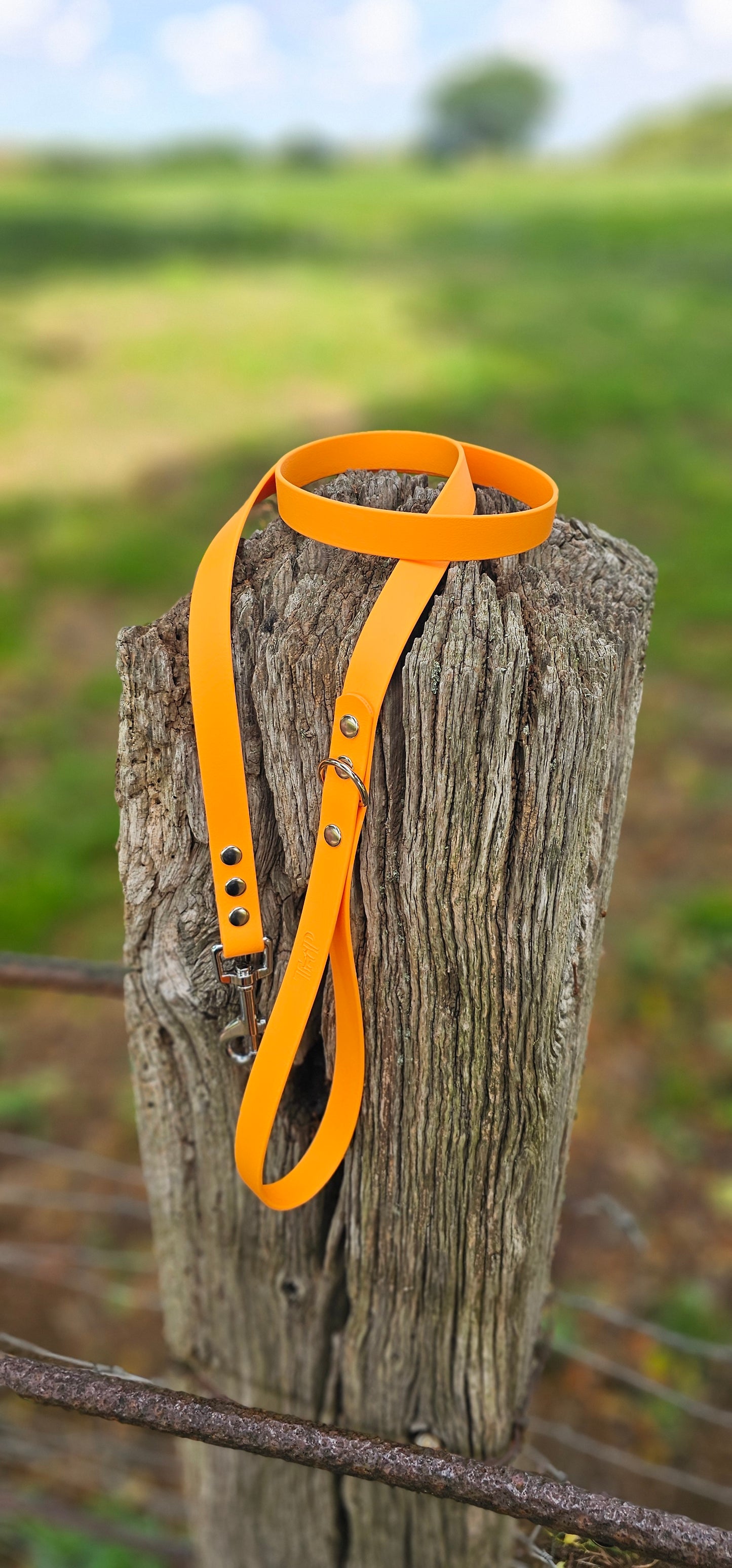 Orange - Waterproof BioThane© Dog Lead