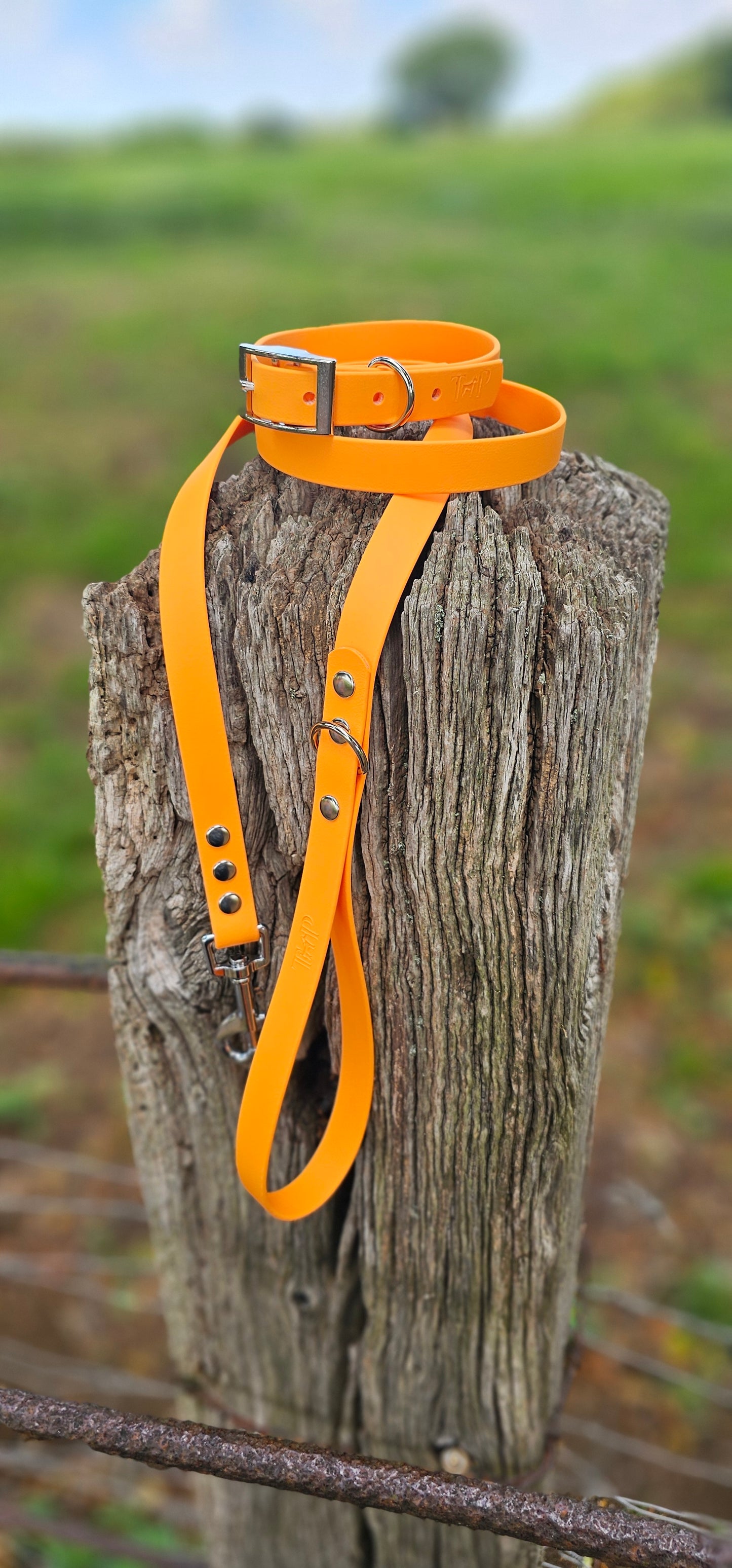 Orange - Waterproof BioThane© Dog Collar