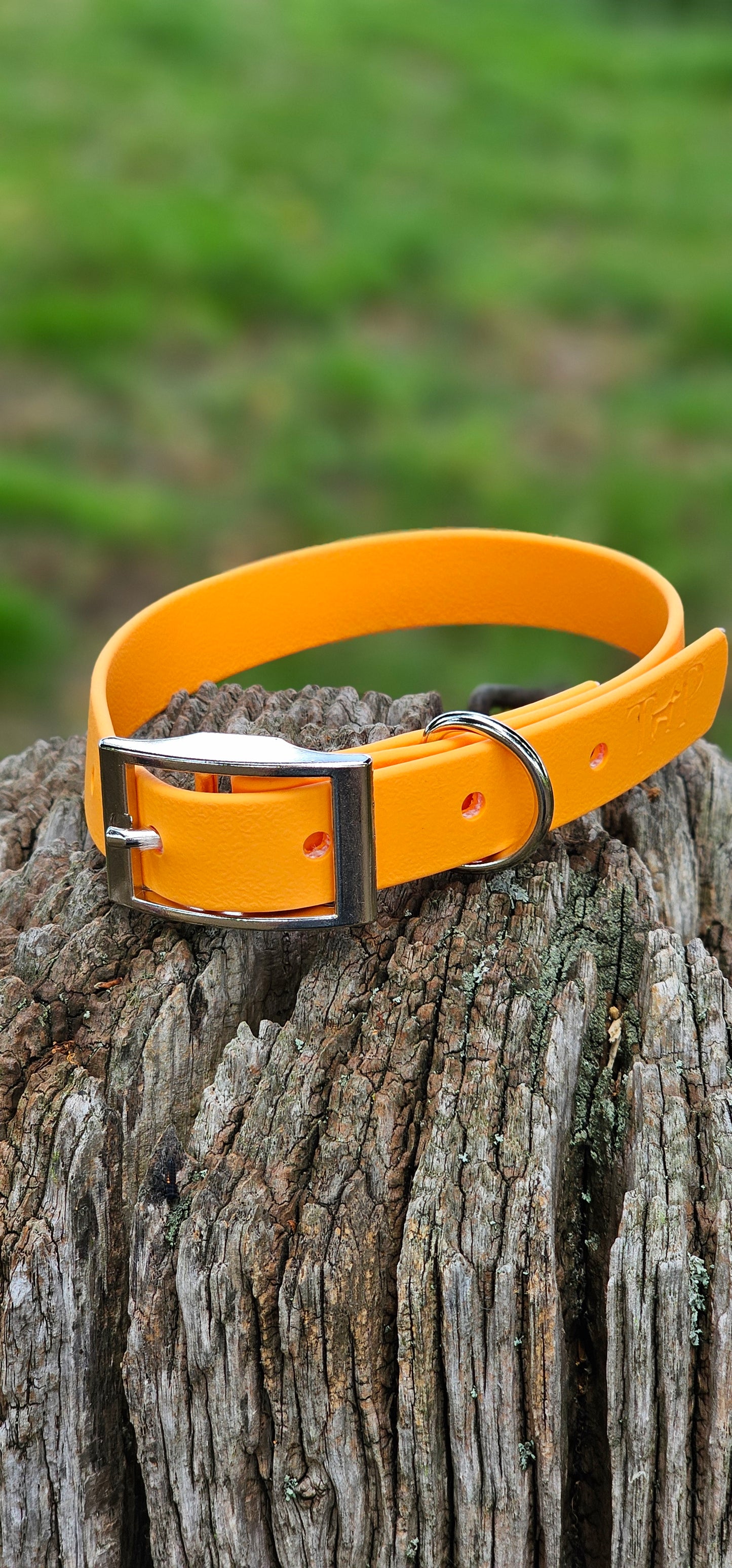 Orange - Waterproof BioThane© Dog Collar