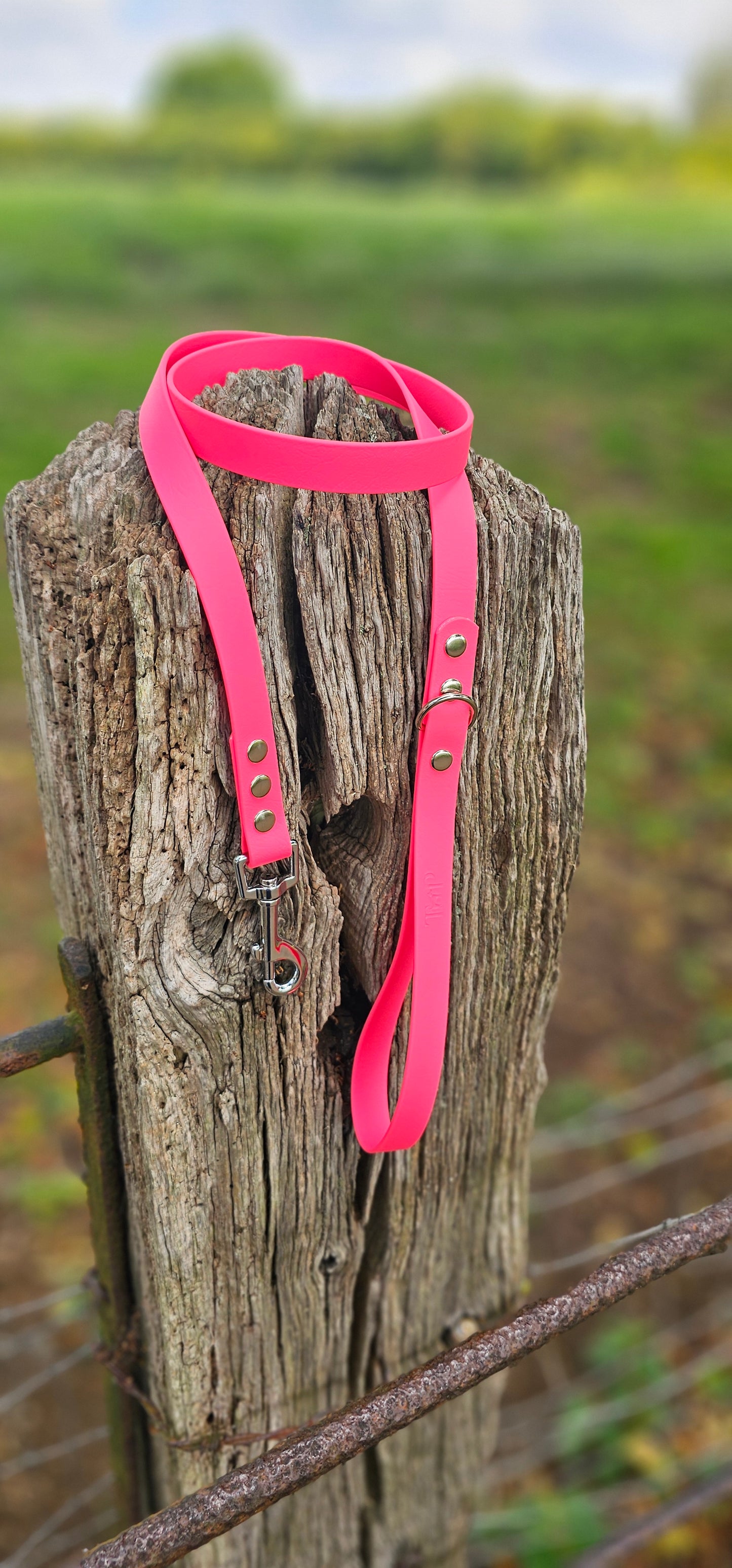 Neon Pink - Waterproof BioThane© Dog Lead