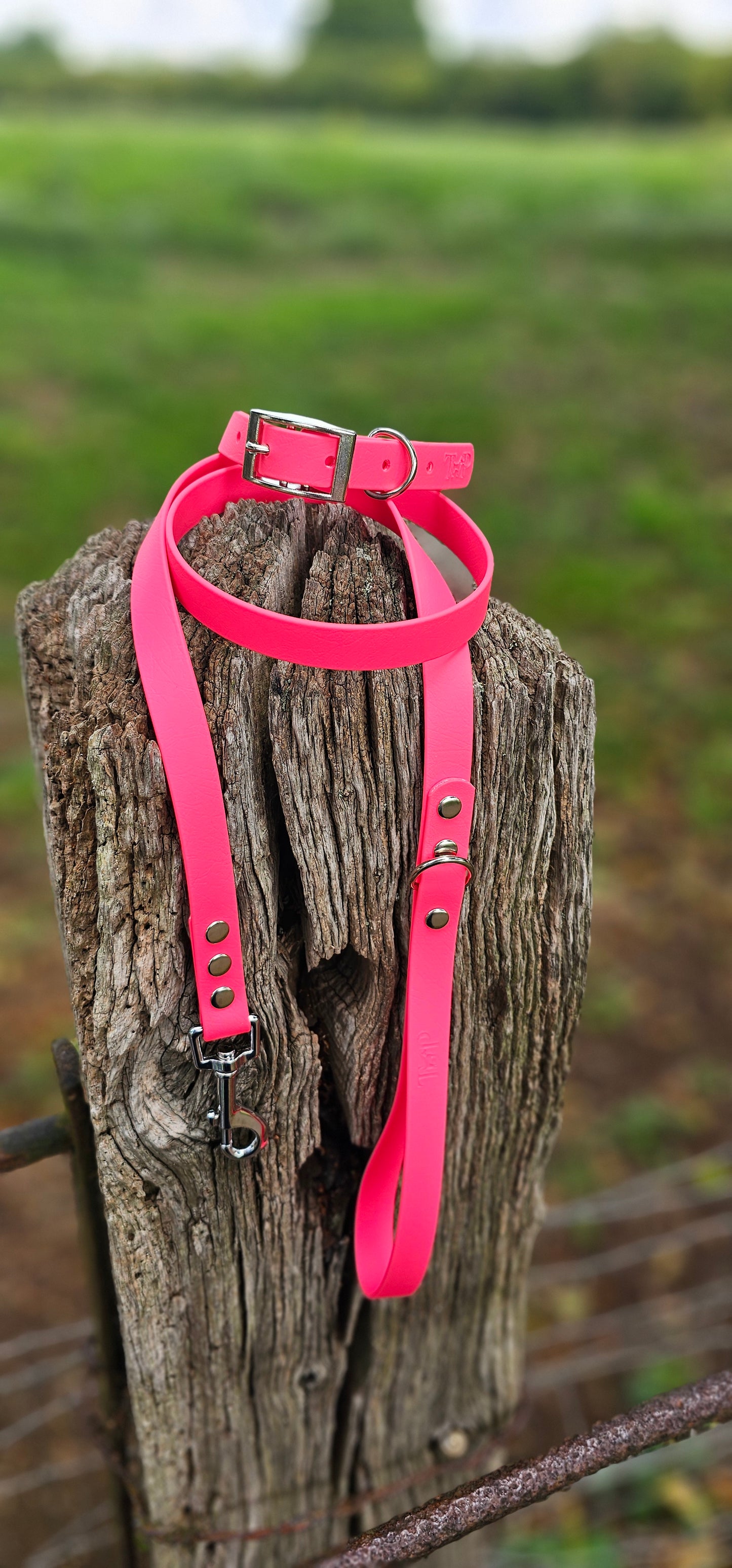 Neon Pink - Waterproof BioThane© Dog Lead