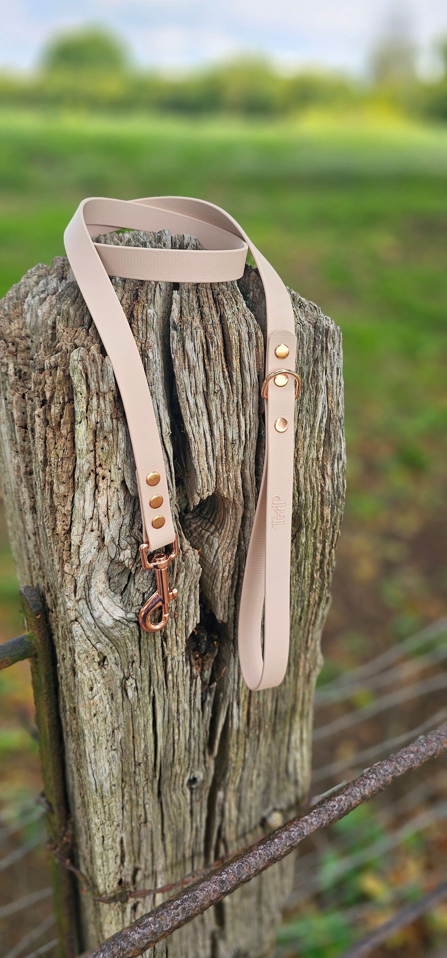 Powder Pearl - Waterproof BioThane© Dog Lead