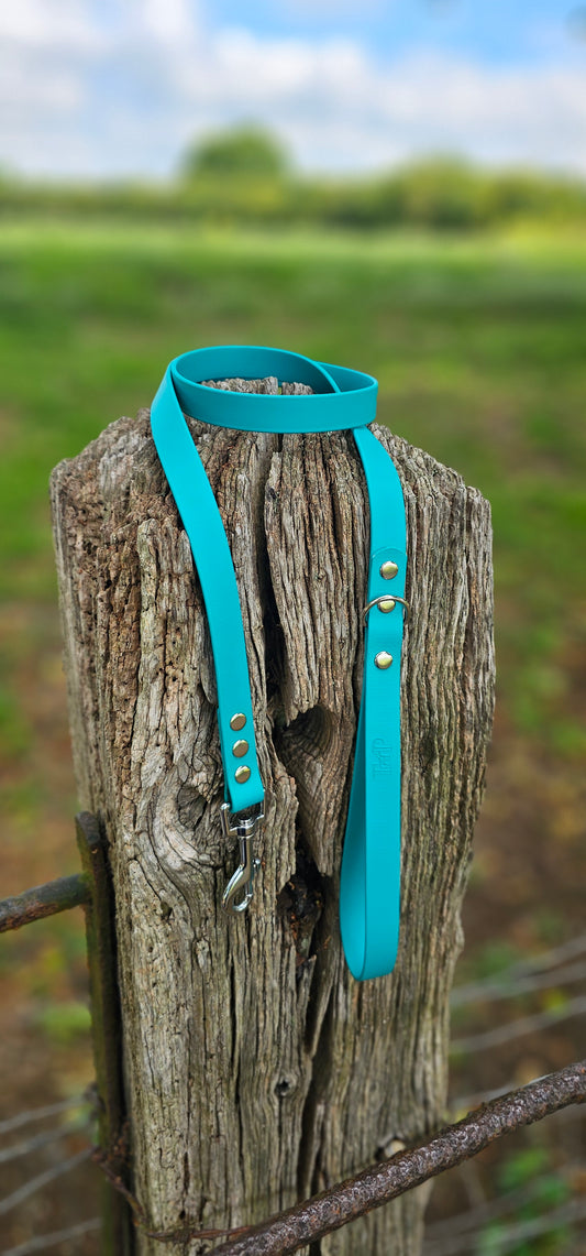 Teal - Waterproof BioThane© Dog Lead