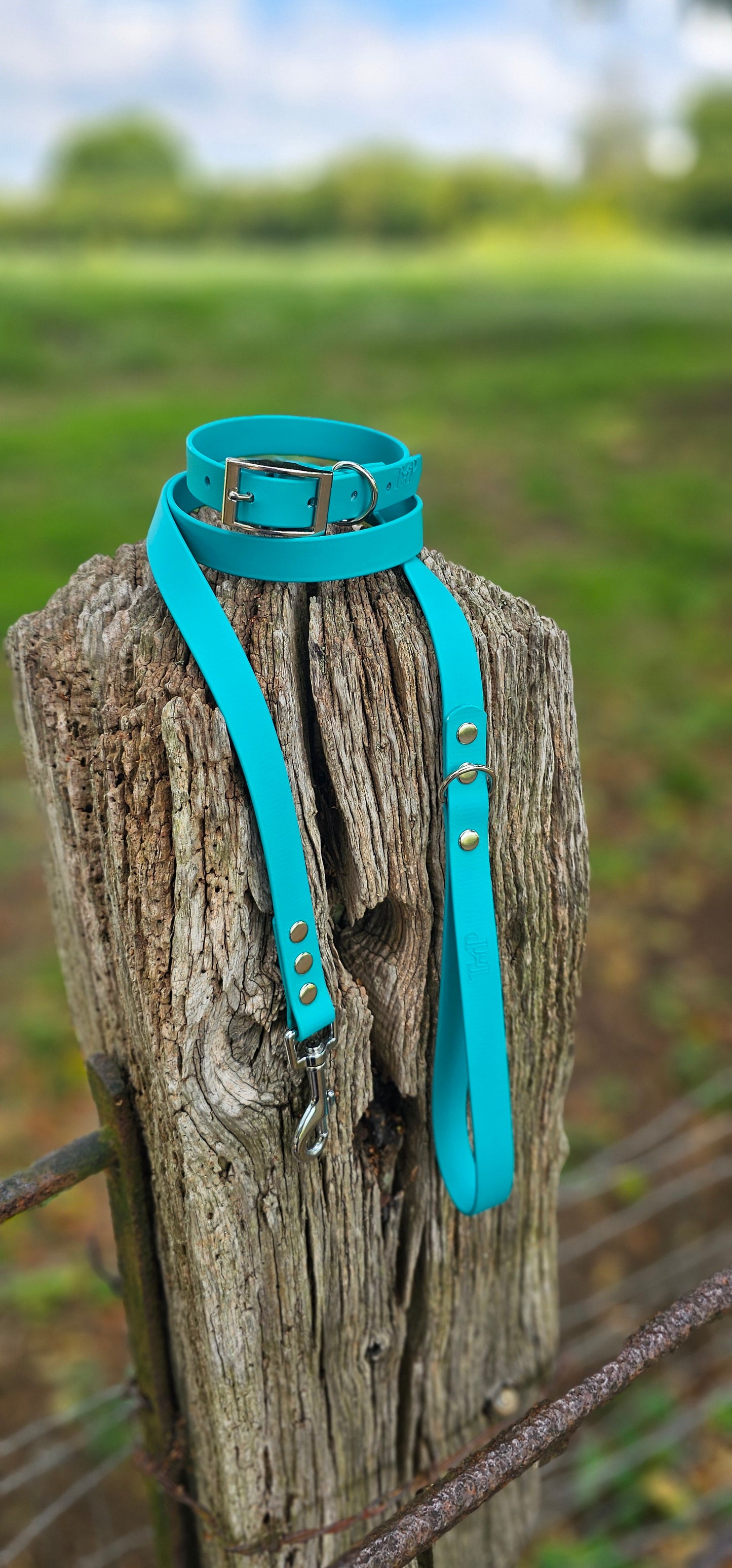 Teal - Waterproof BioThane© Dog Collar