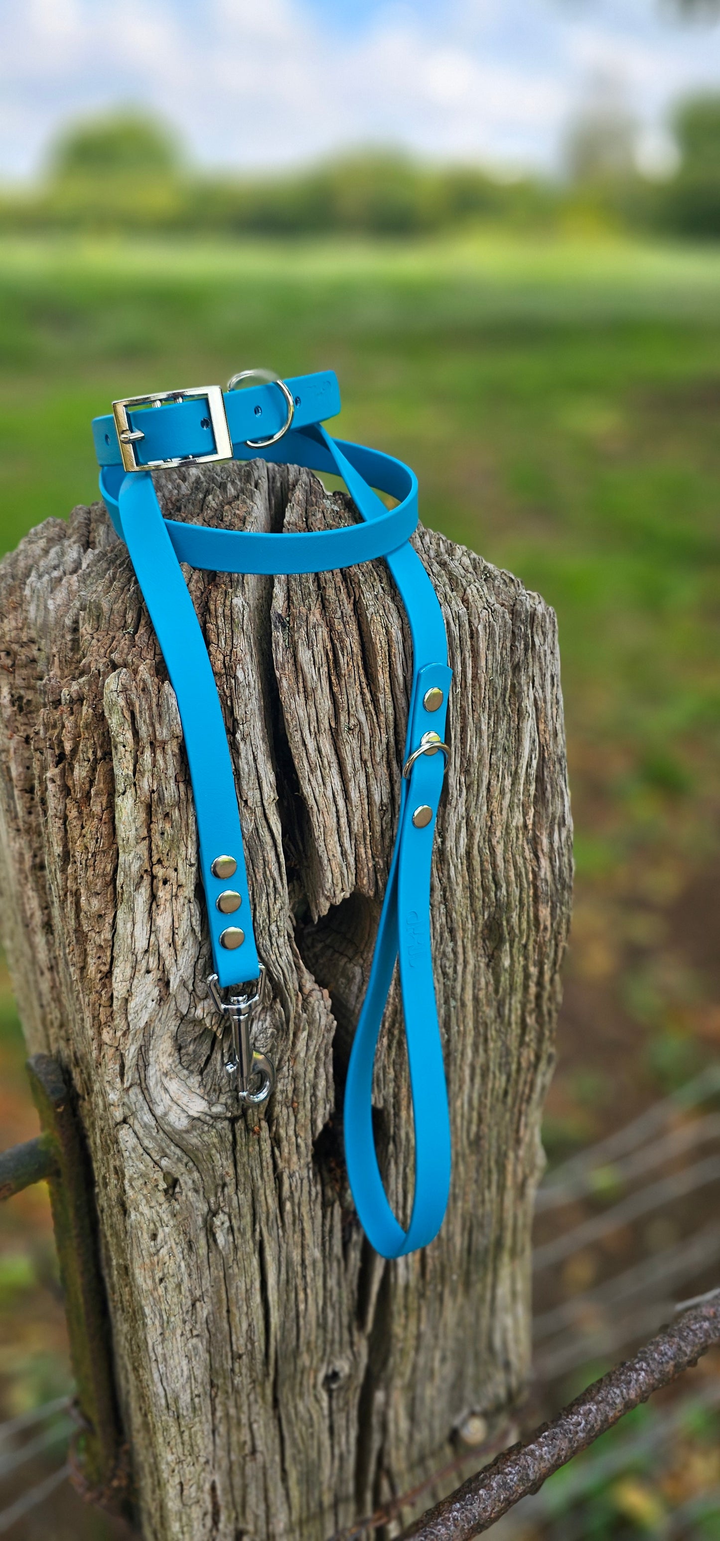 Lagune - Waterproof BioThane© Dog Collar
