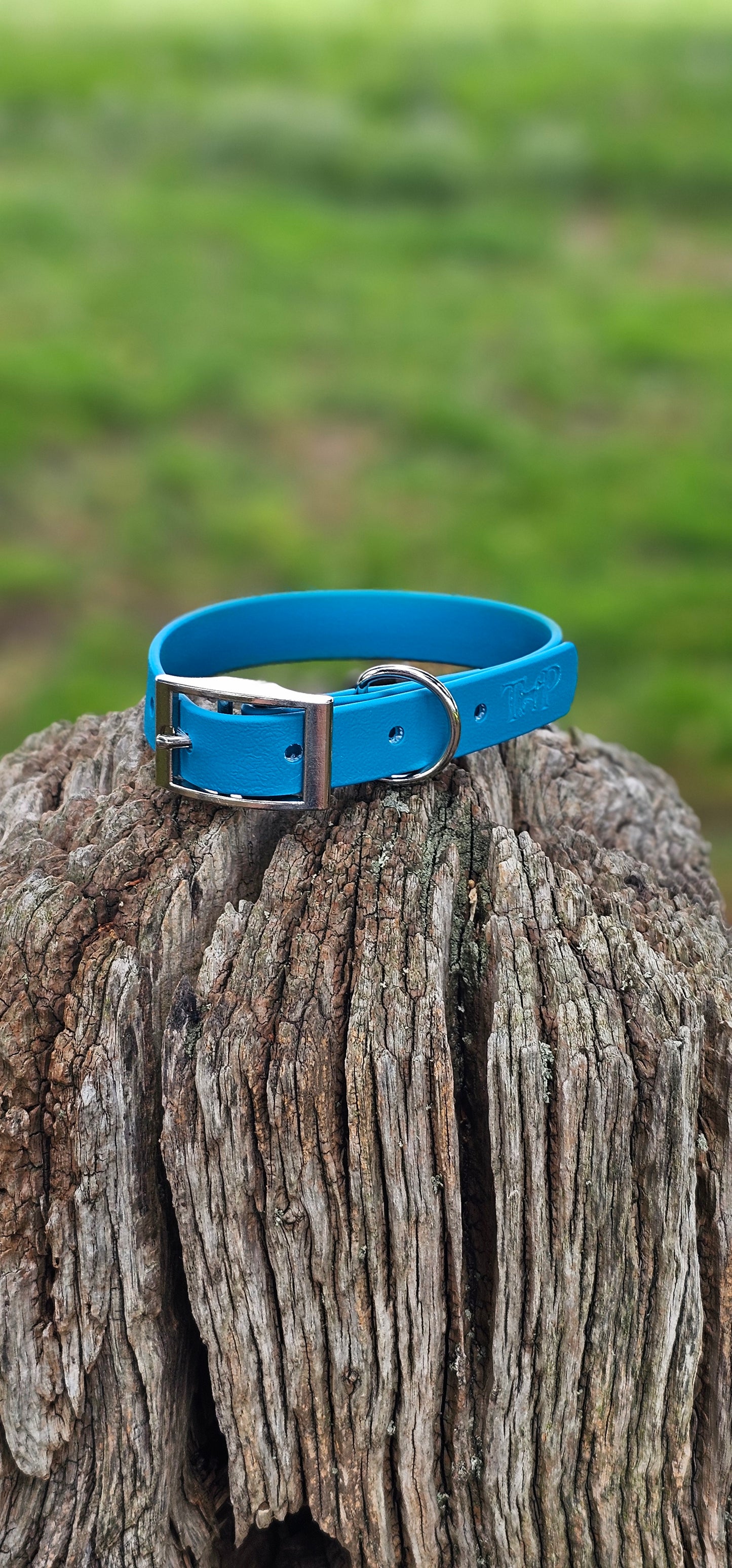 Lagune - Waterproof BioThane© Dog Collar