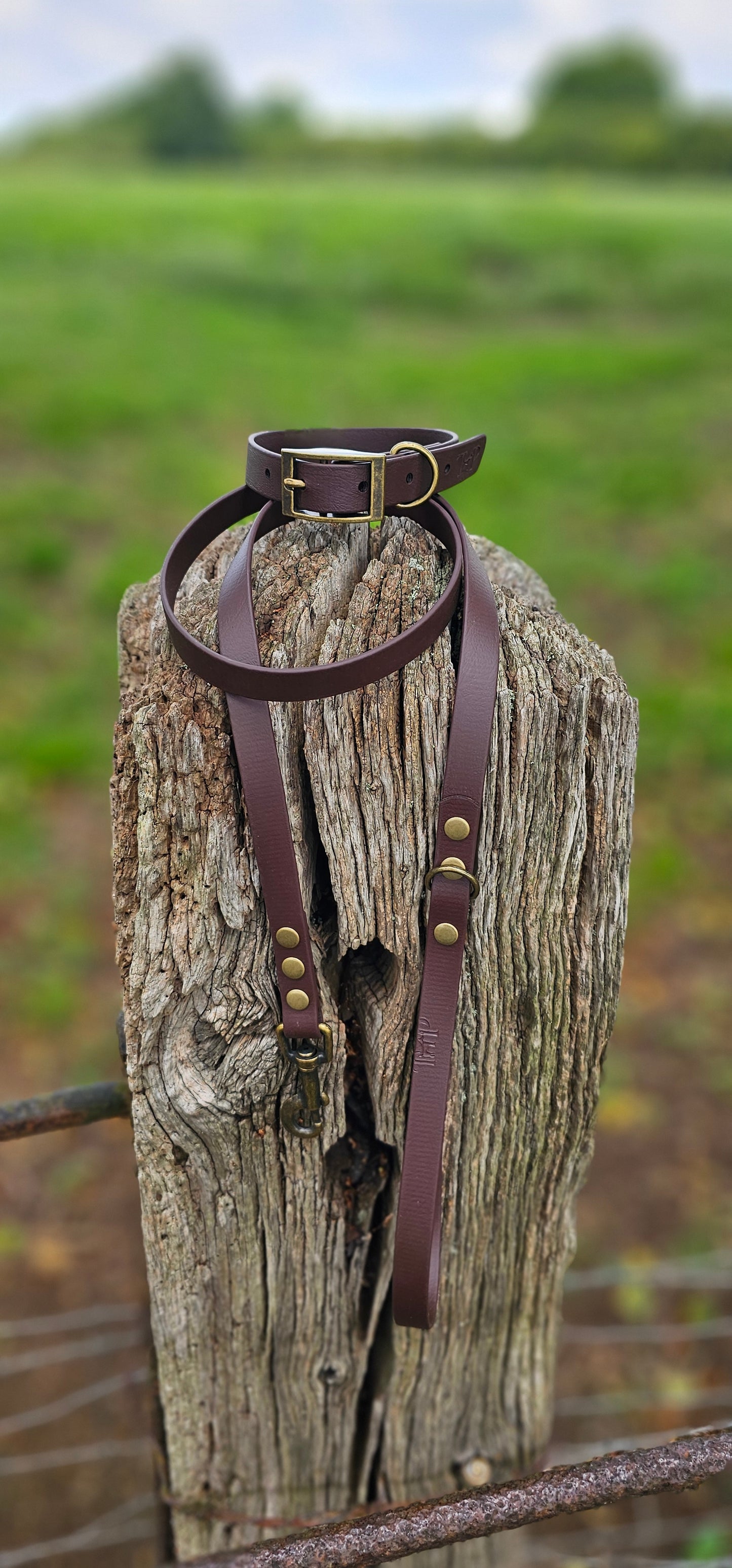 Dark Brown - Waterproof BioThane© Dog Collar