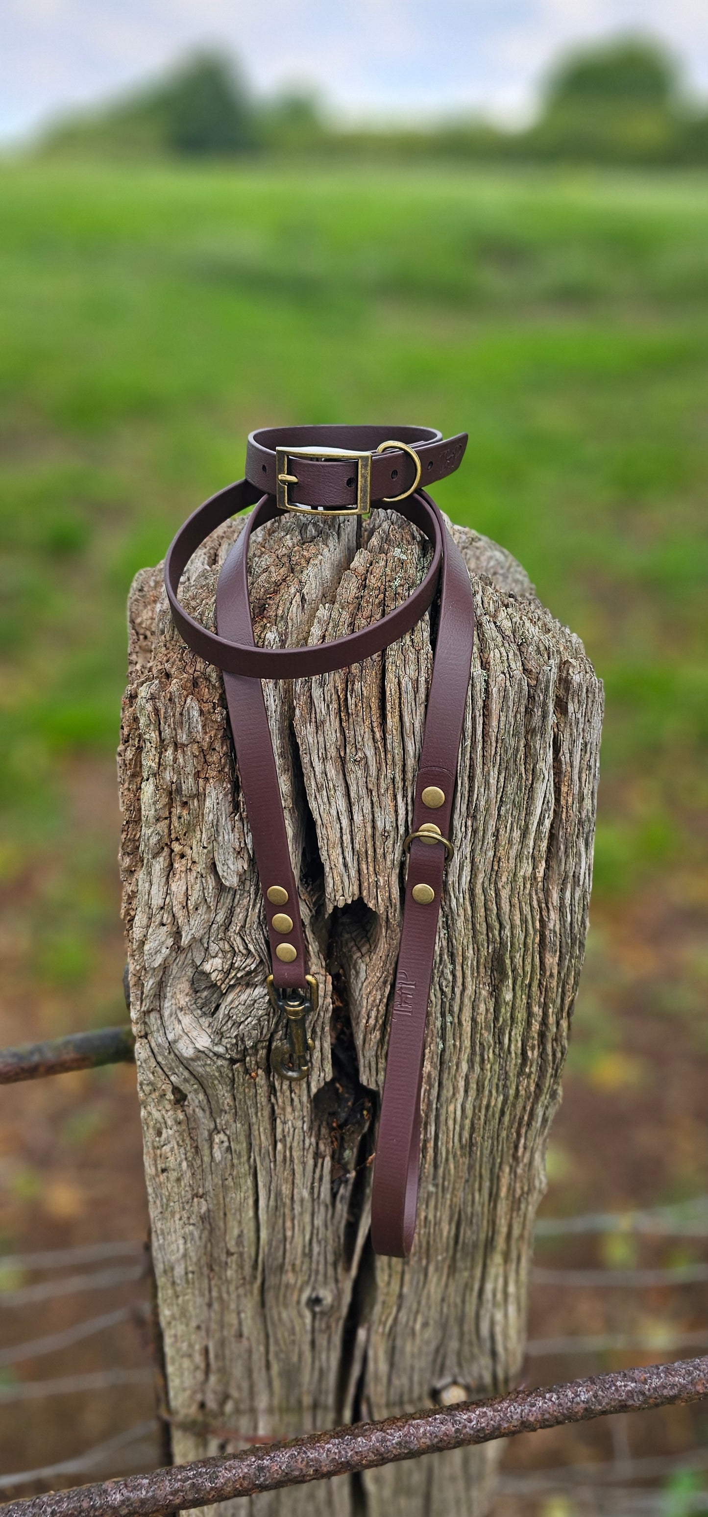 Dark Brown - Waterproof BioThane© Dog Lead