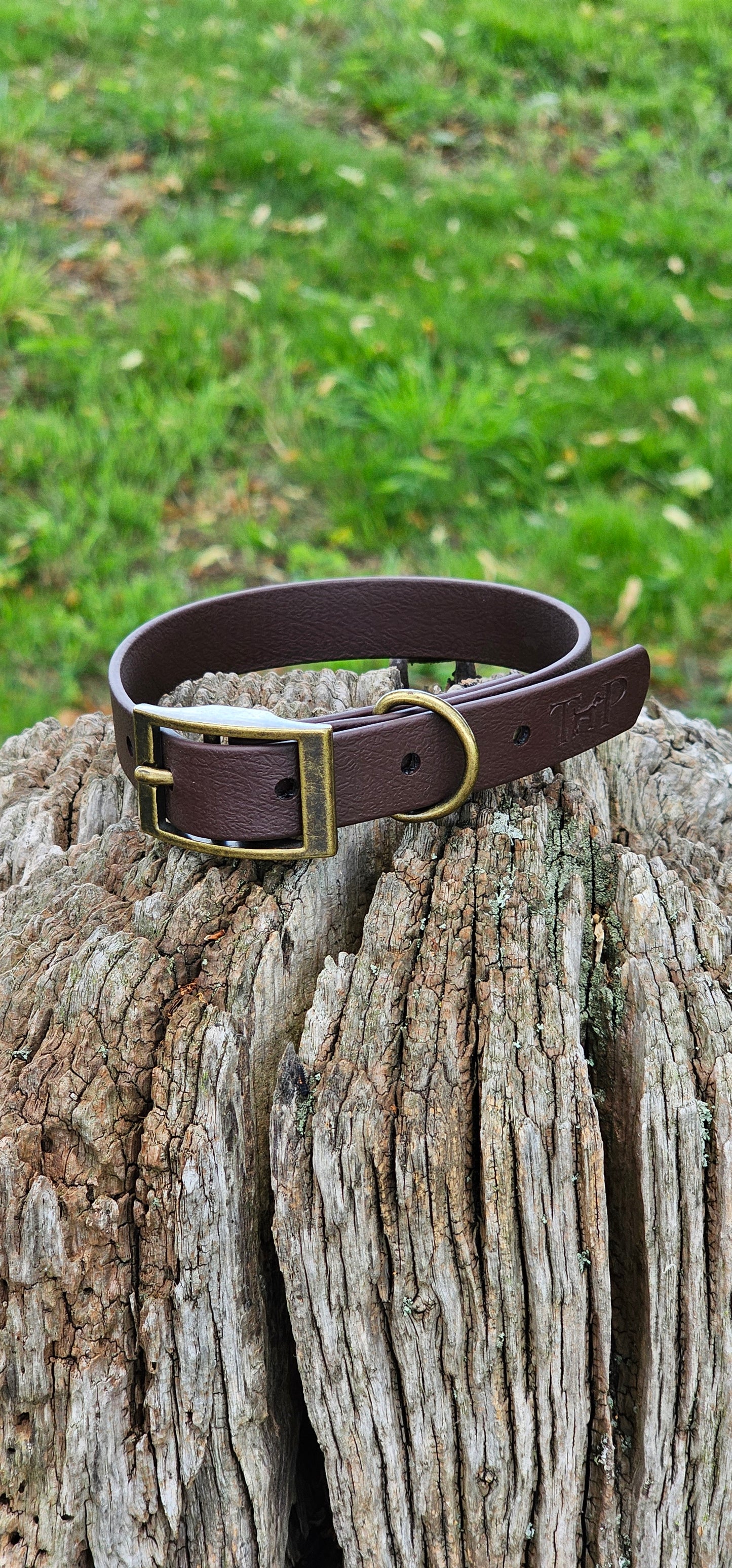 Dark Brown - Waterproof BioThane© Dog Collar