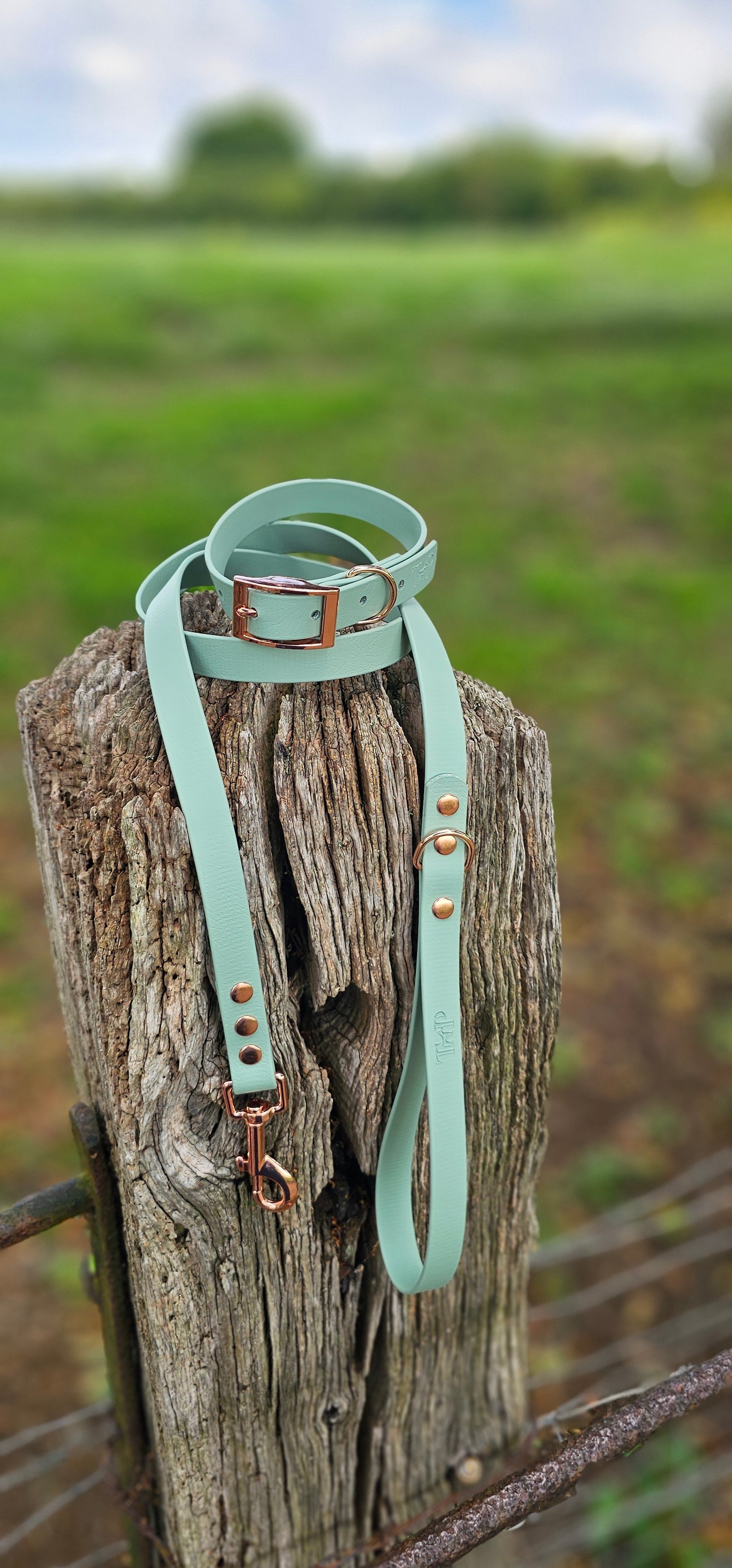 Sage - Waterproof BioThane© Dog Collar