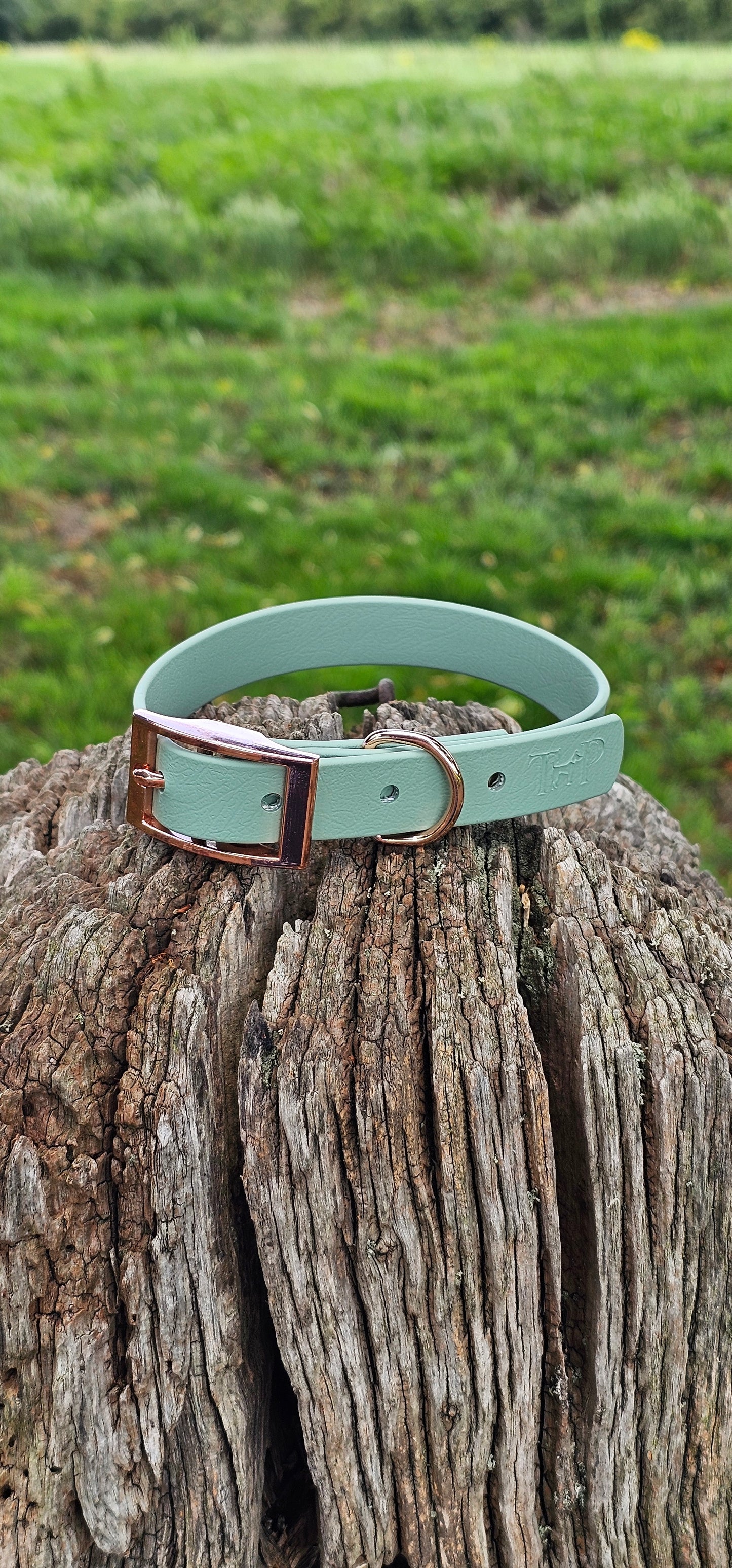 Sage - Waterproof BioThane© Dog Collar