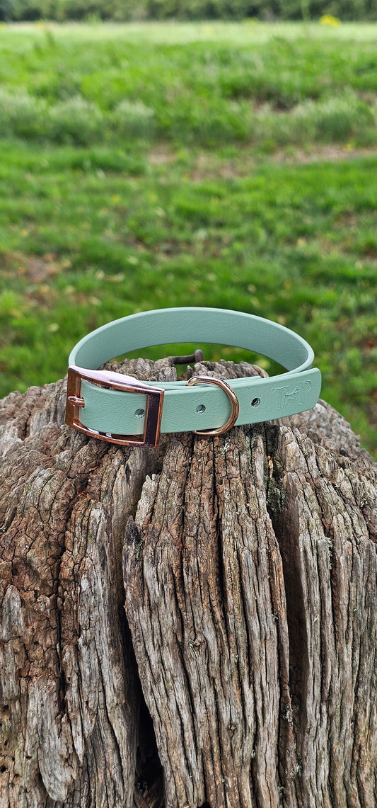 Sage - Waterproof BioThane© Dog Collar