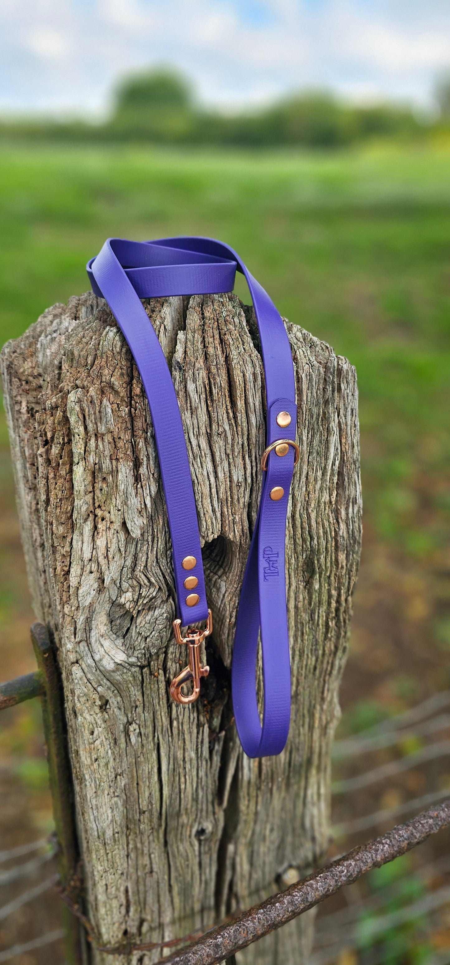Purple - Waterproof BioThane© Dog Lead