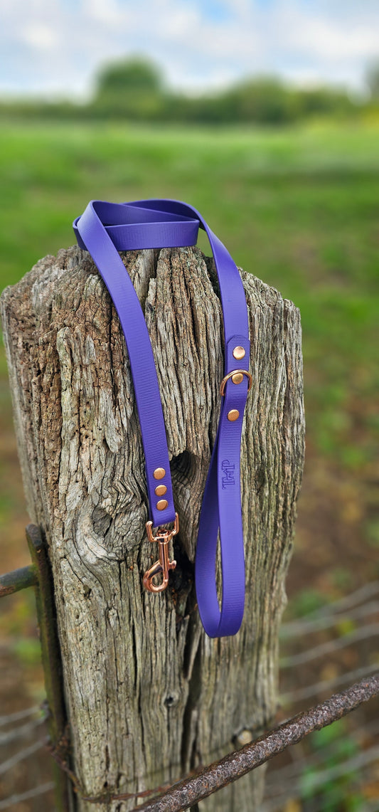 Purple - Waterproof BioThane© Dog Lead