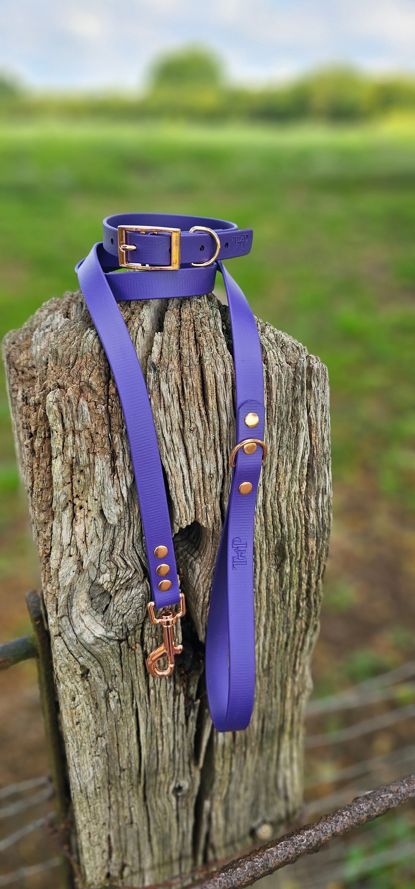 Purple - Waterproof BioThane© Dog Collar