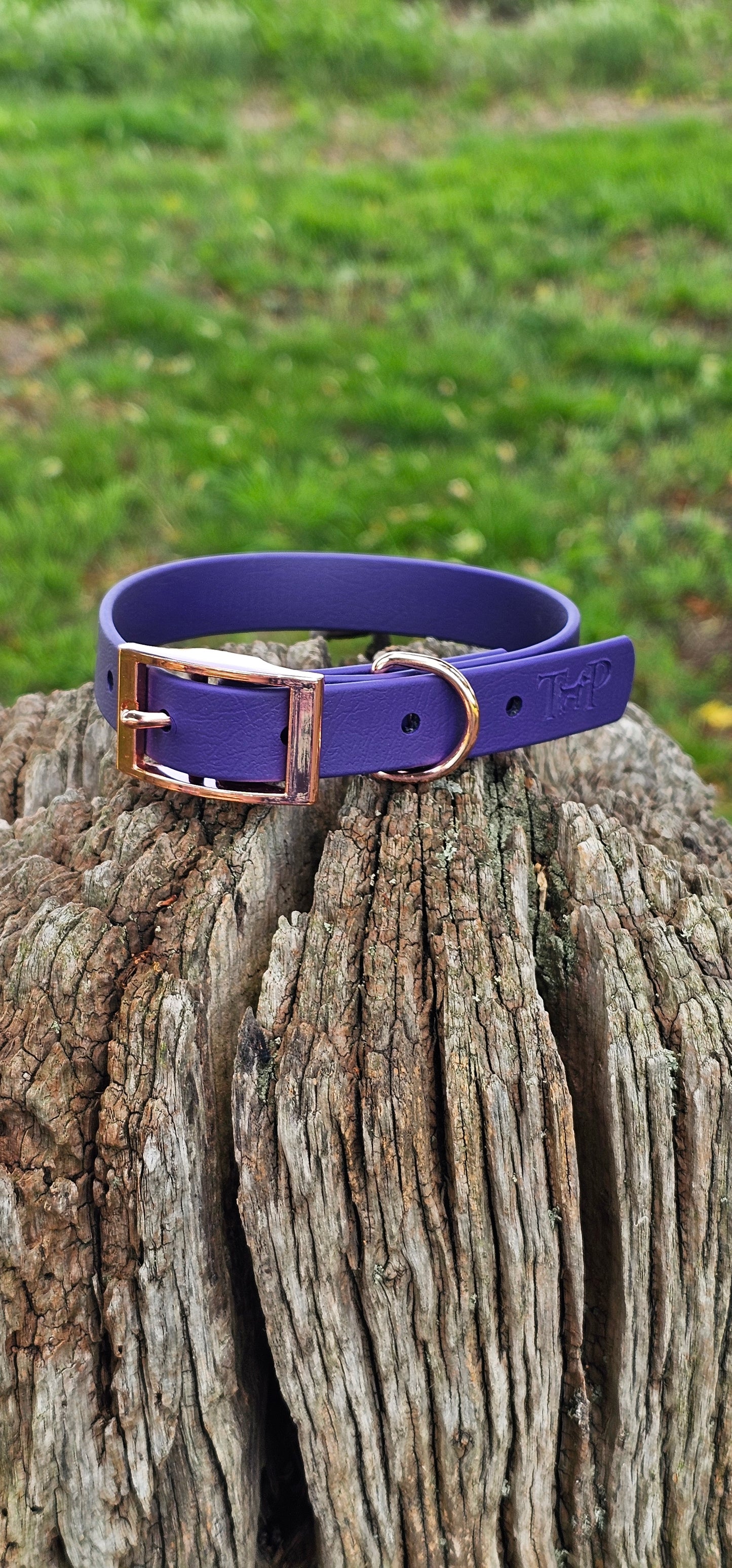 Purple - Waterproof BioThane© Dog Collar