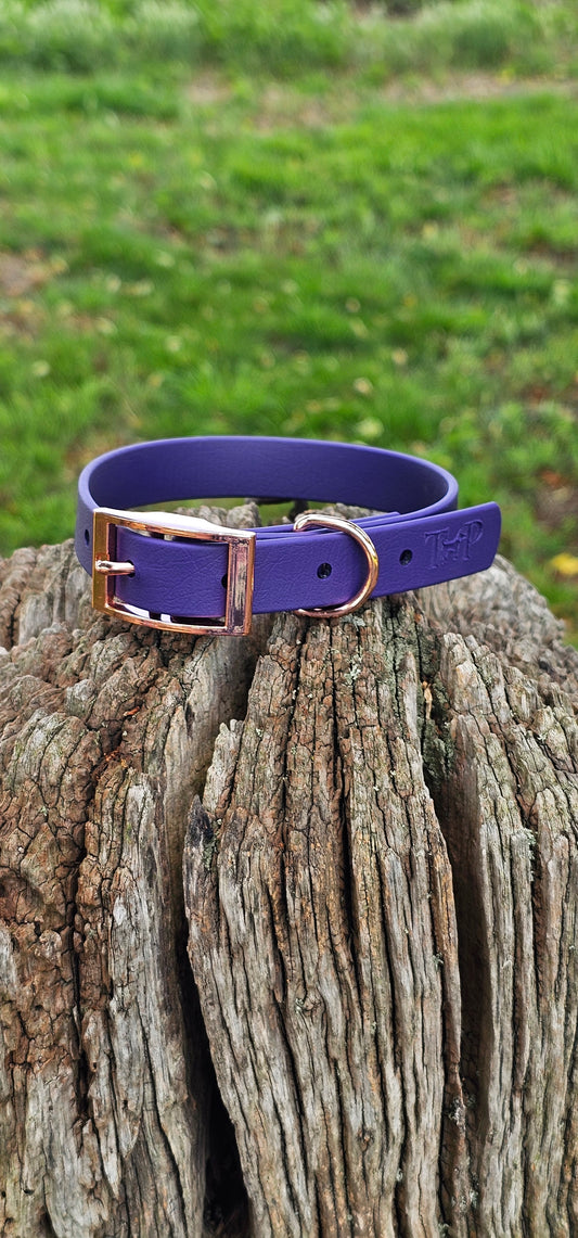 Purple - Waterproof BioThane© Dog Collar