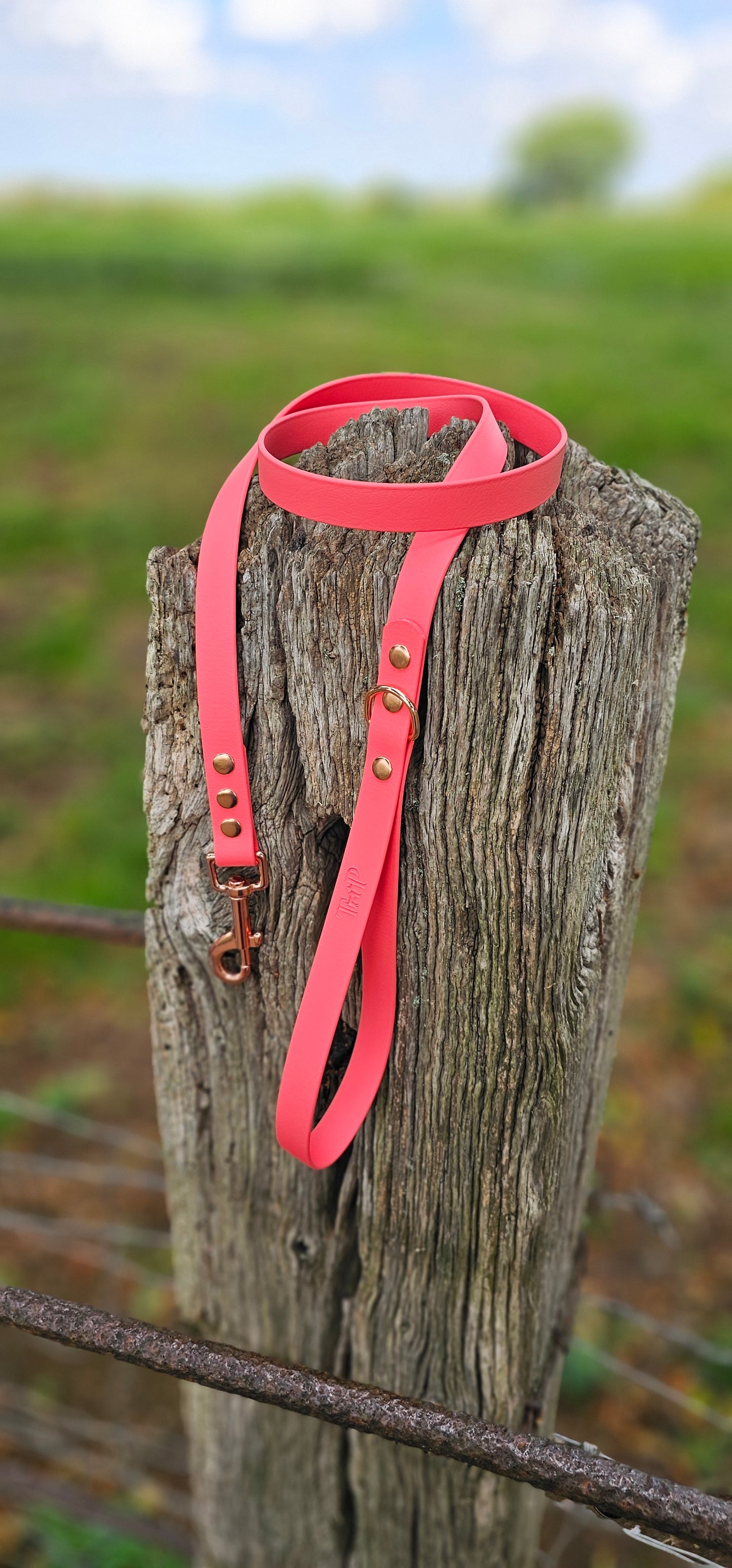 Coral - Waterproof BioThane© Dog Lead