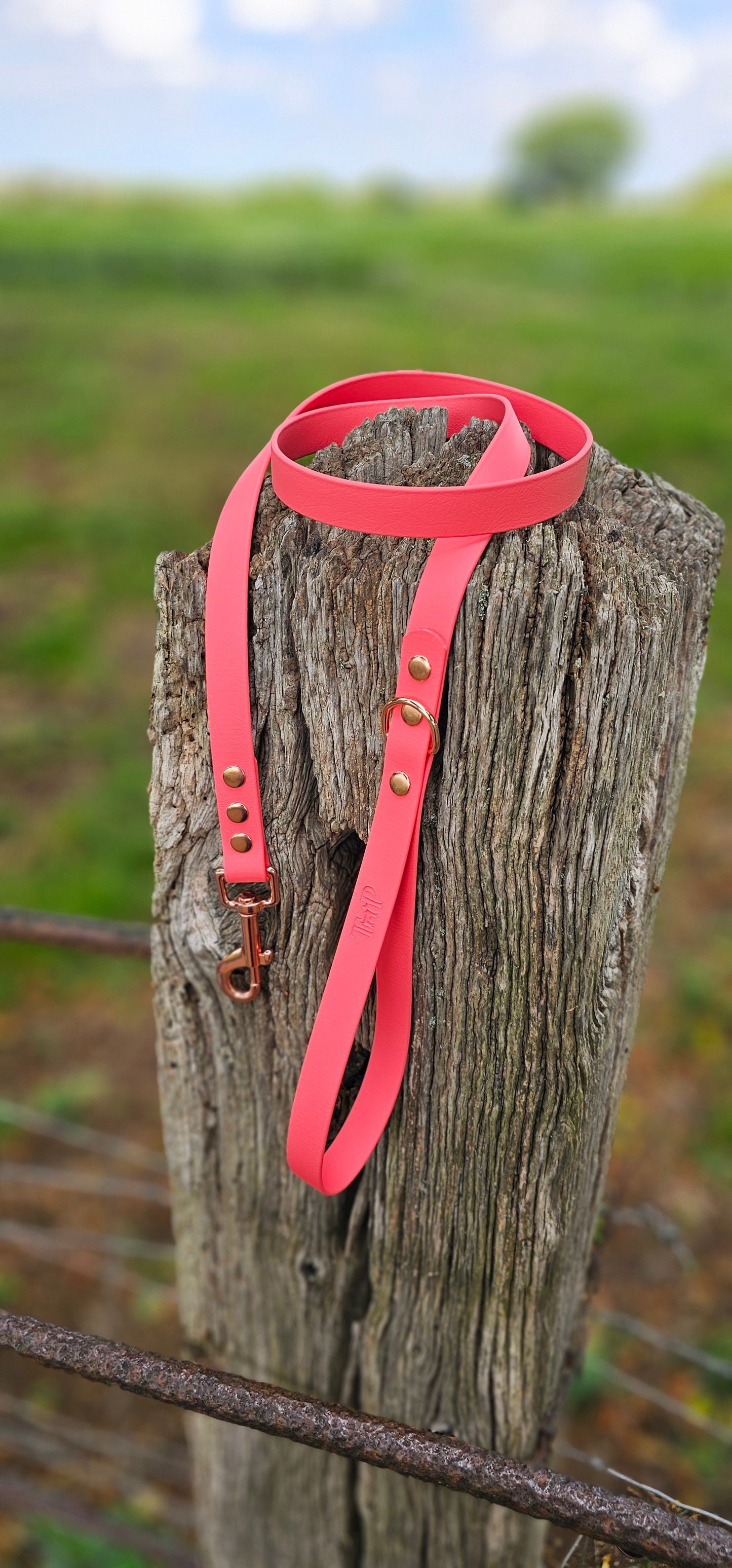 Coral - Waterproof BioThane© Dog Lead
