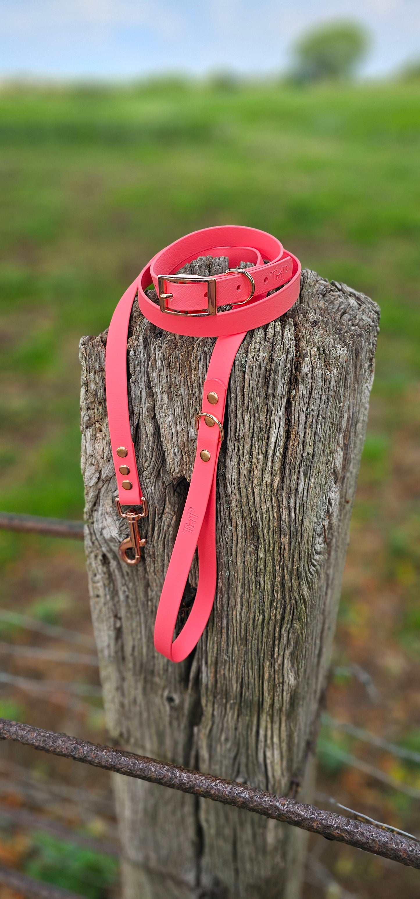 Coral - Waterproof BioThane© Dog Collar