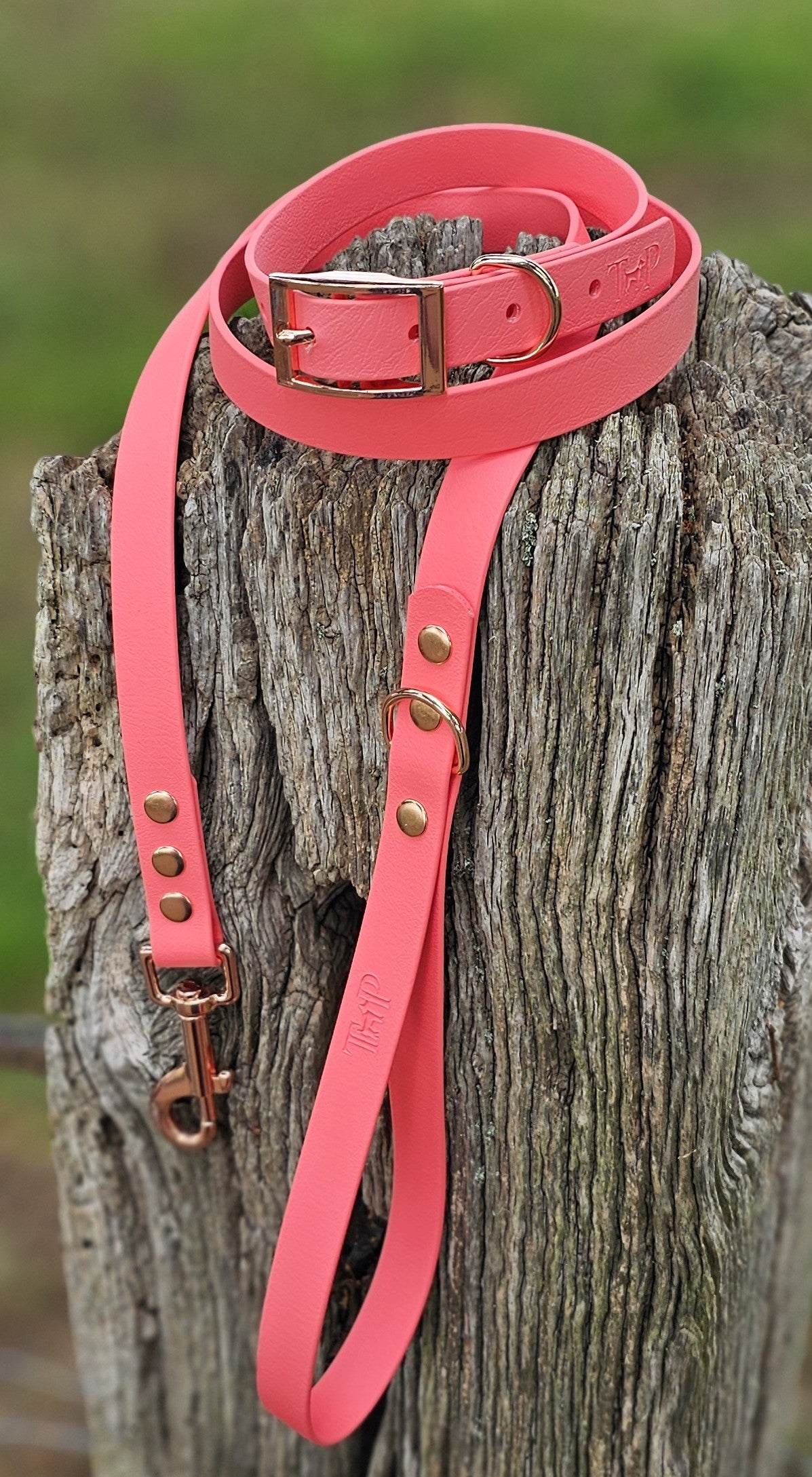 Coral - Waterproof BioThane© Dog Collar