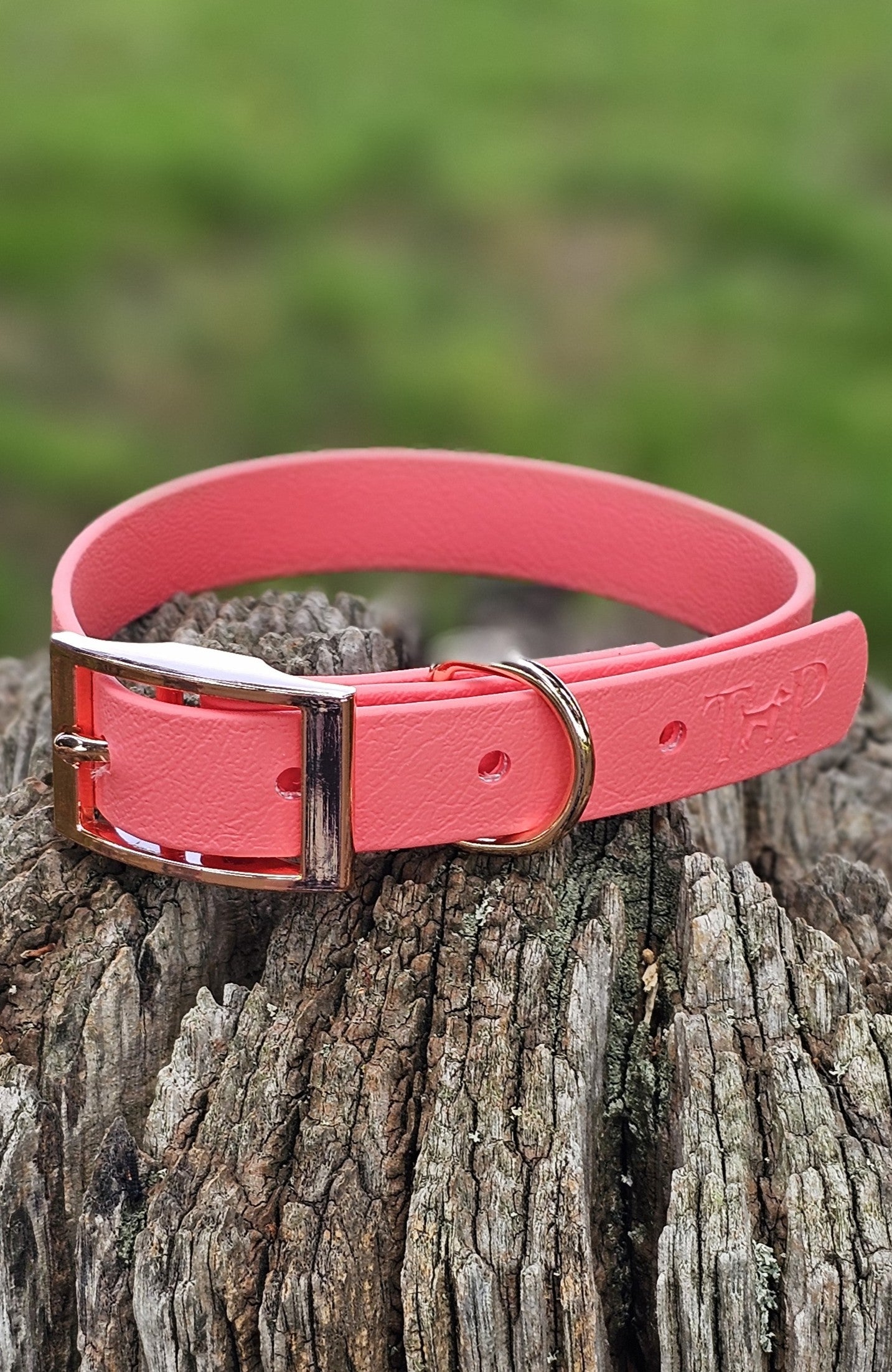 Coral - Waterproof BioThane© Dog Collar