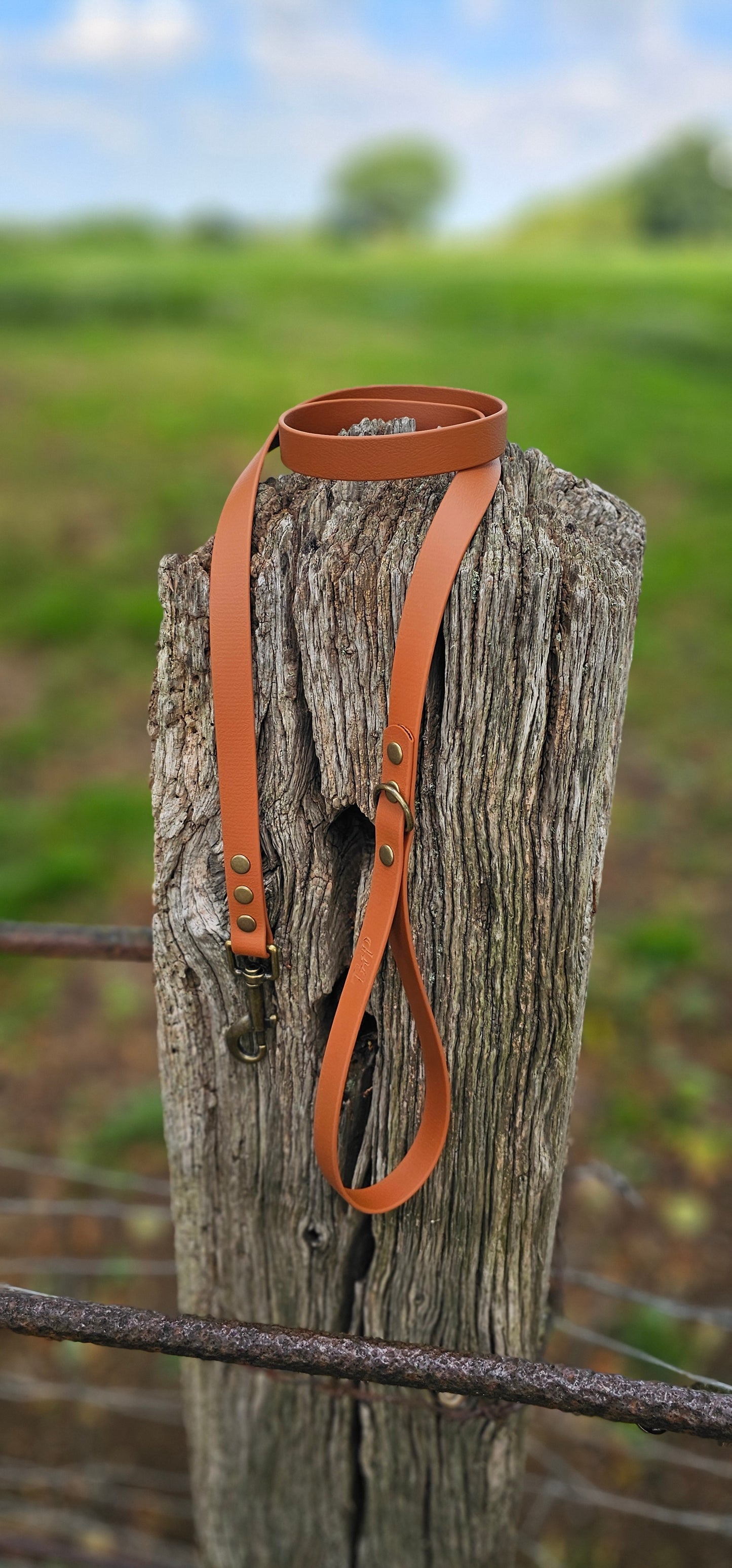 Tan - Waterproof BioThane© Dog Lead