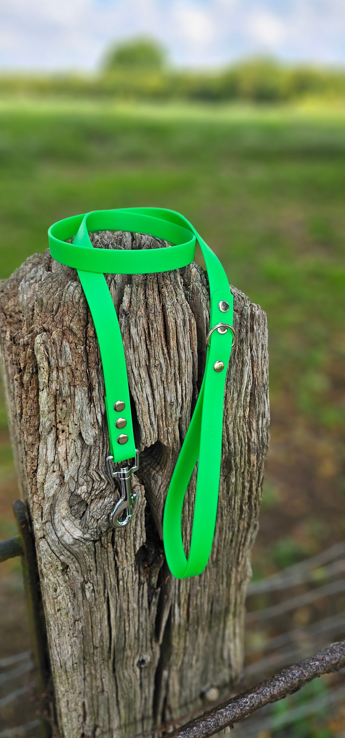 Neon Green - Waterproof BioThane© Dog Lead