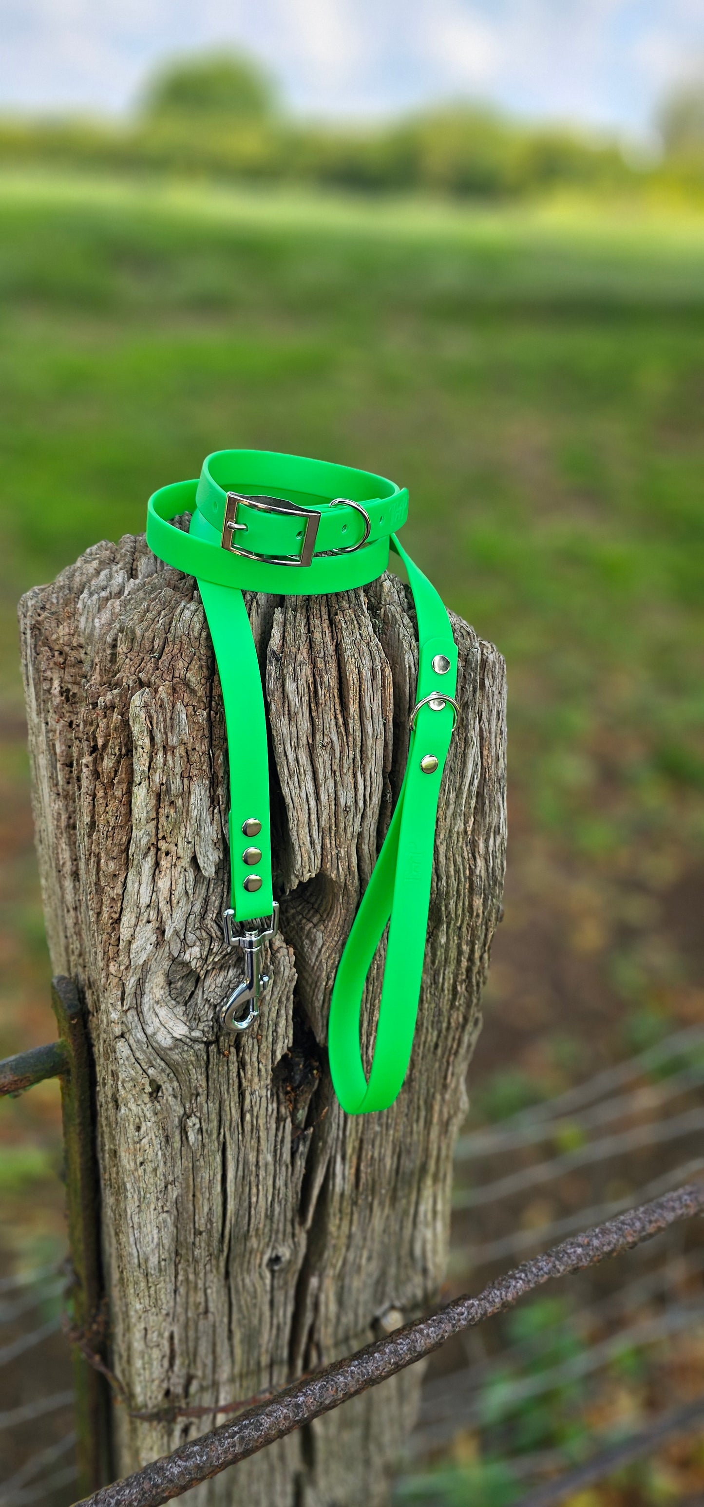 Neon Green - Waterproof BioThane© Dog Collar