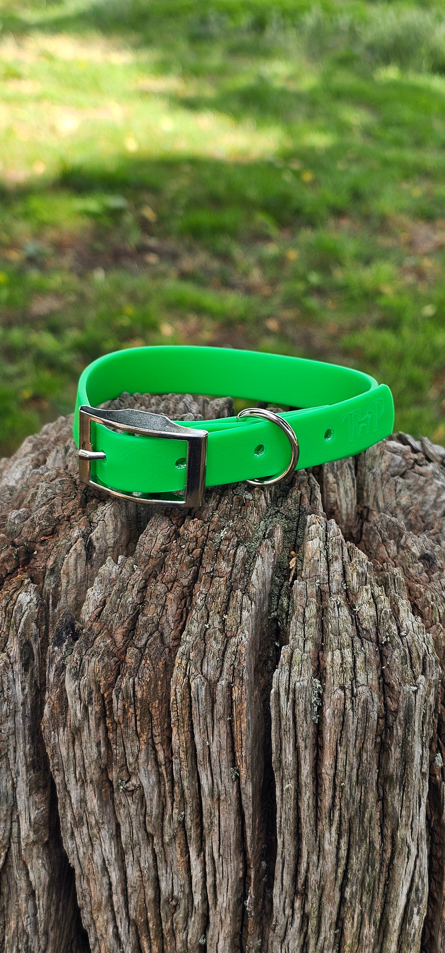 Neon Green - Waterproof BioThane© Dog Collar