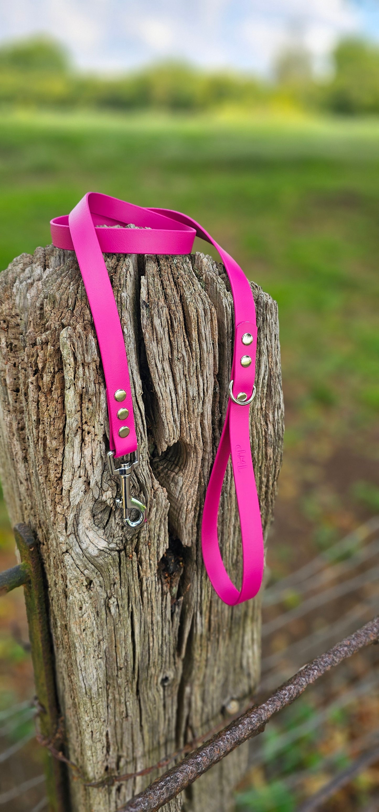 Magenta - Waterproof BioThane© Dog Lead