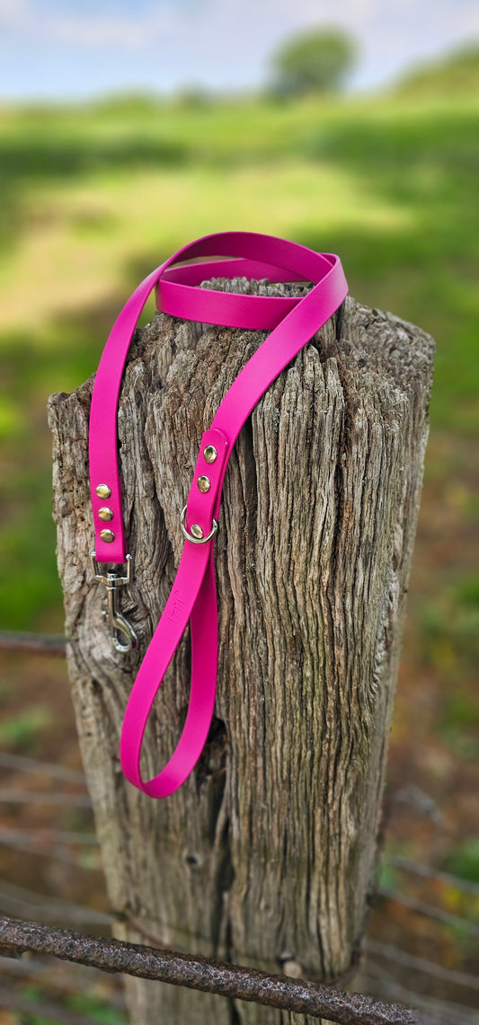 Magenta - Waterproof BioThane© Dog Lead