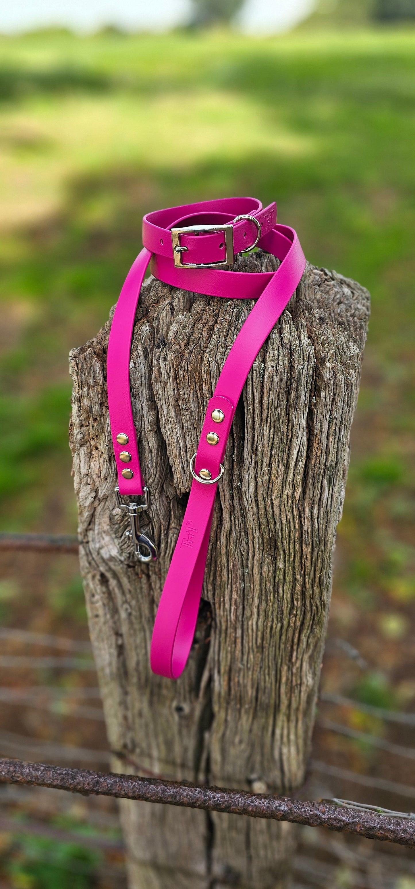 Magenta - Waterproof BioThane© Dog Lead