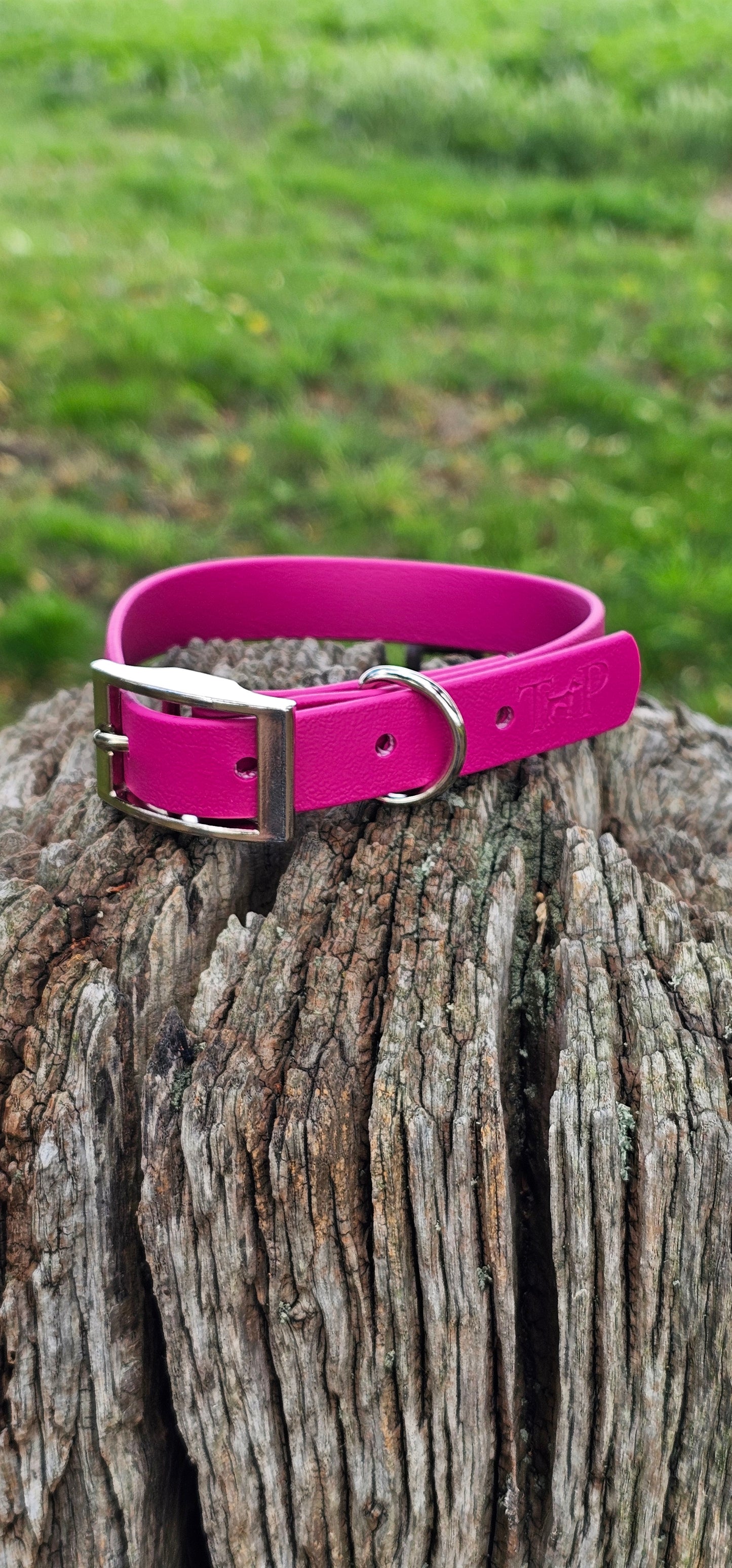 Magenta - Waterproof BioThane© Dog Collar