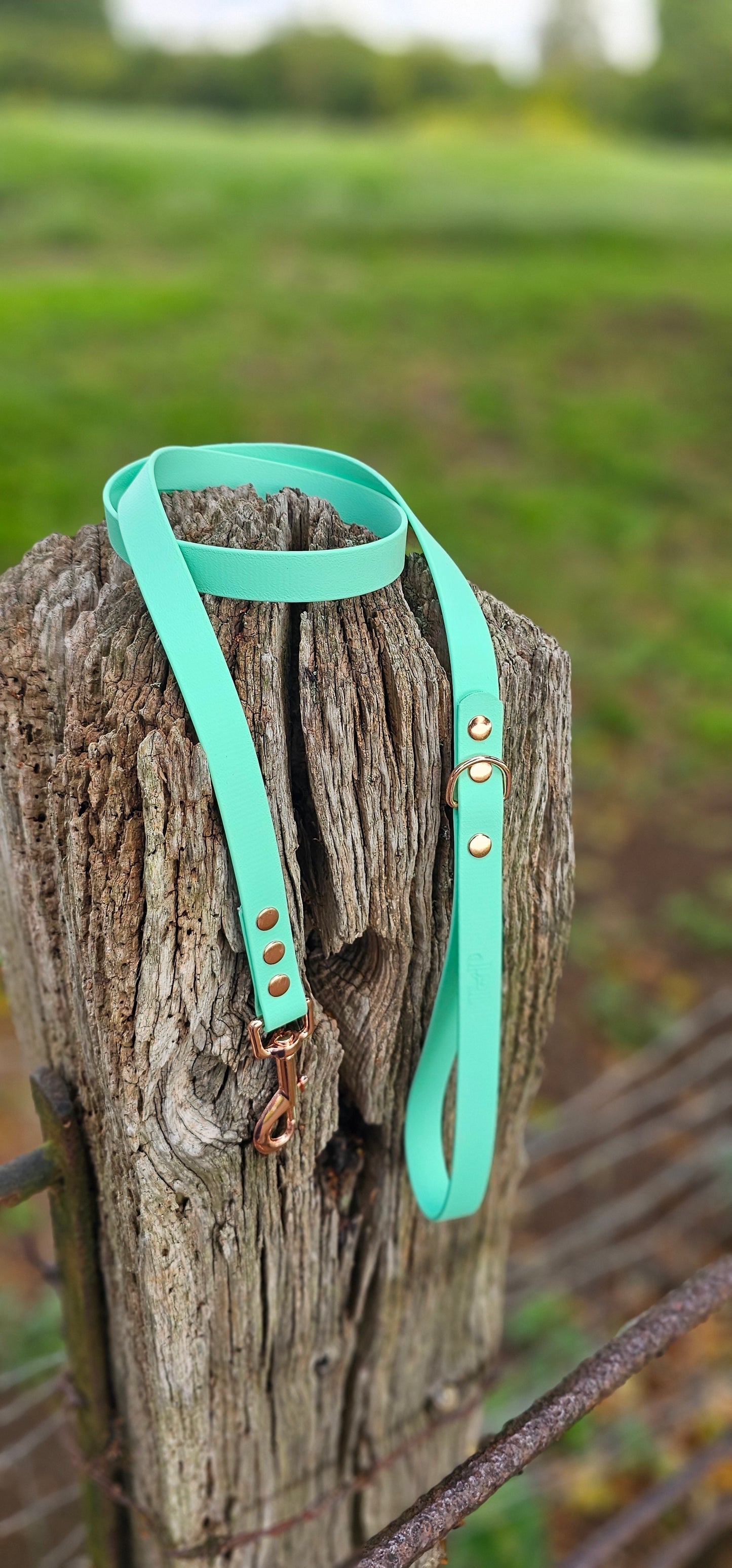 Mint - Waterproof BioThane© Dog Lead