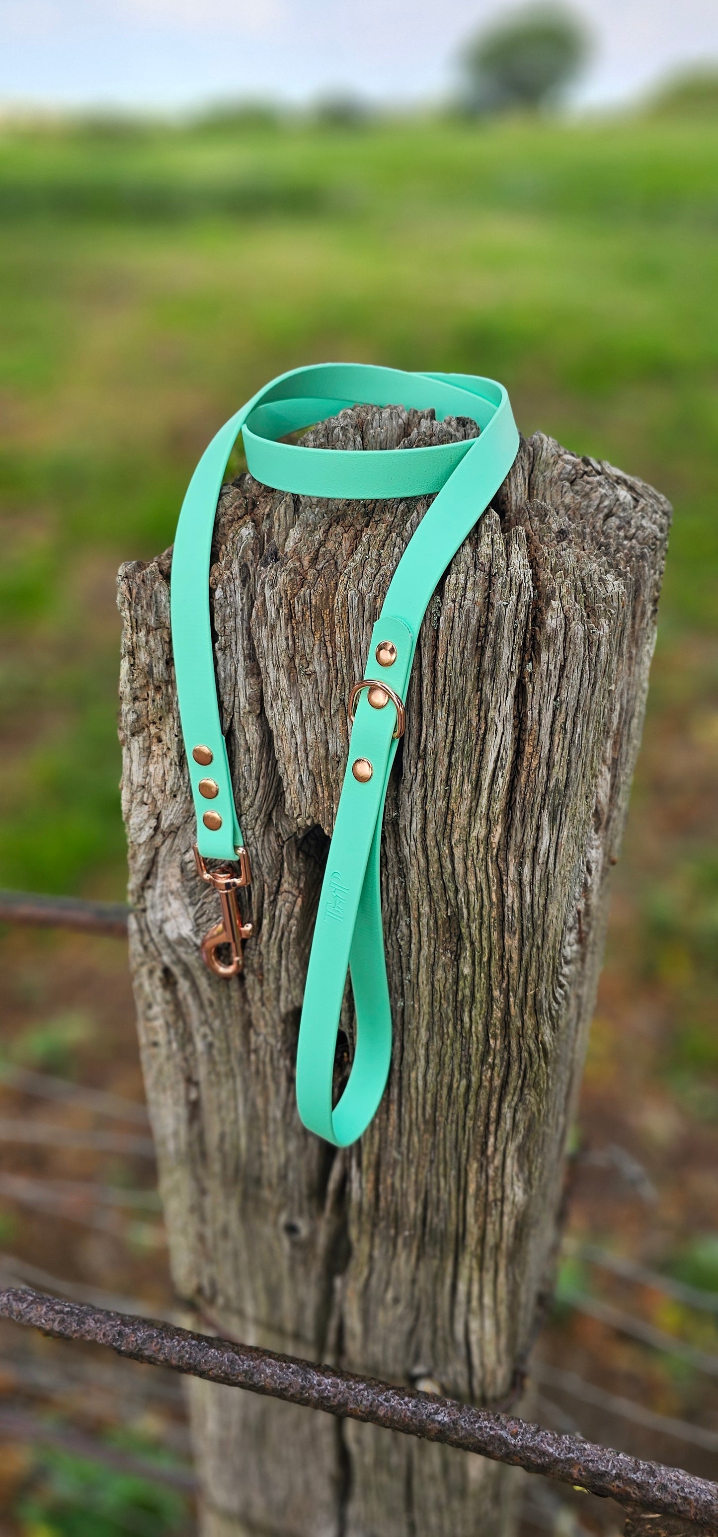 Mint - Waterproof BioThane© Dog Lead